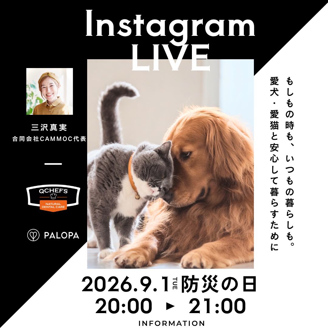 9月1日「防災の日」に愛犬・愛猫との“いつもの暮らし”から防災を考える取り組みを実施