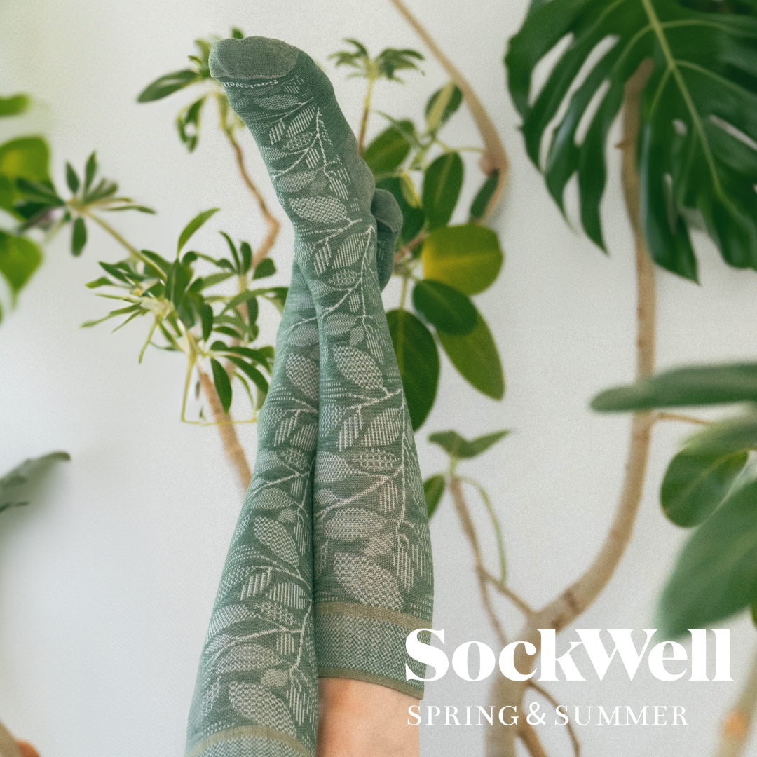 【Sockwell】2024年春夏シーズンの最新作が登場!