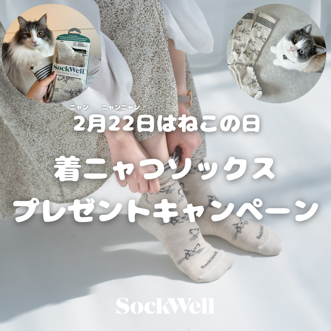 2月22日は猫の日🐈ニャンとも可愛い猫ちゃん柄の着ニャつソックスプレゼントキャンペーンを開催!