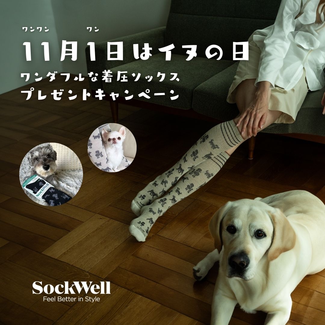 11月1日は『犬の日』!着圧ソックスのSockwellからワンダフルなワンちゃん柄のソックスプレゼントキャンペーンを開催🐶