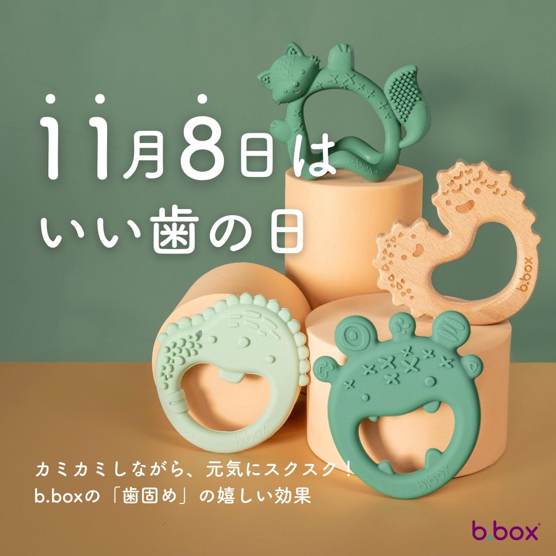 11月8日は「いい歯の日」!アンケートで見えた赤ちゃんの歯に関する意識の高さと、歯科医師が解説する歯固めの意外な5つの効果