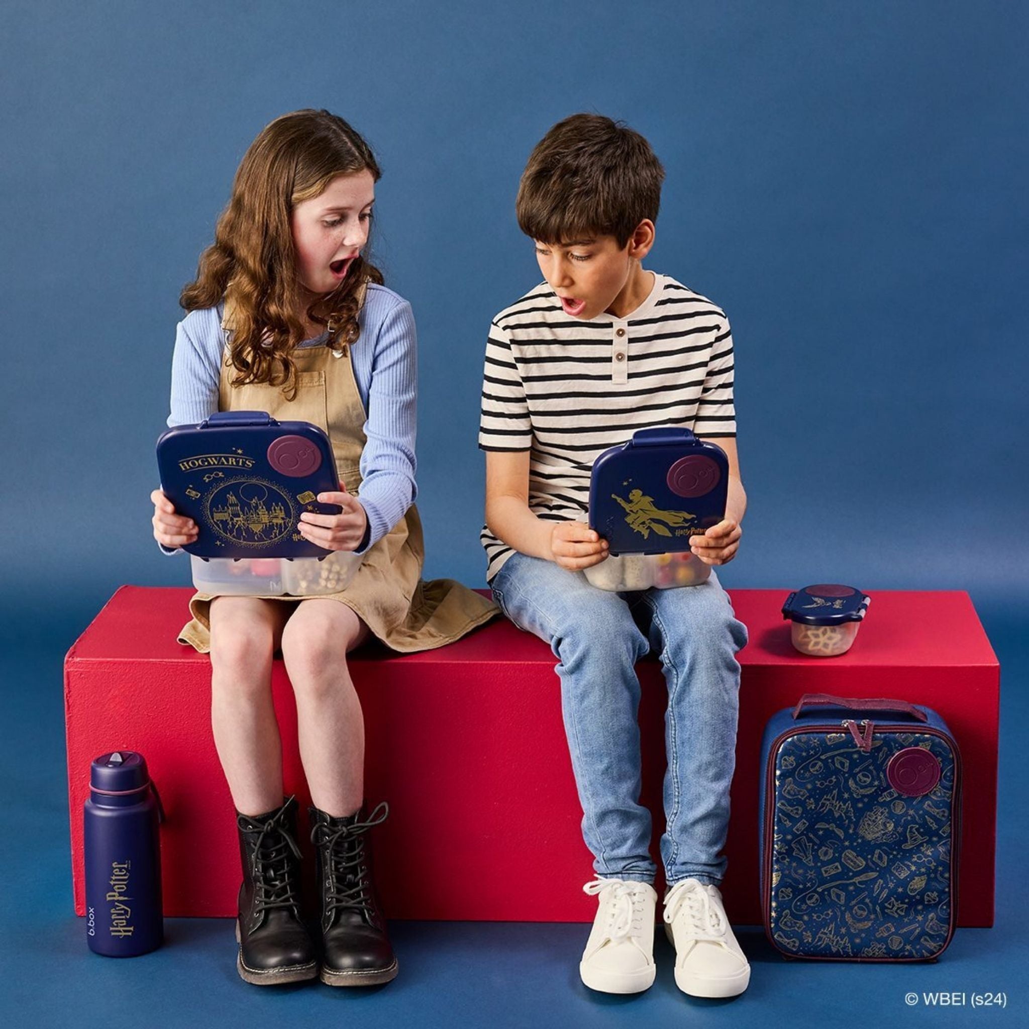 Warner Bros. Lunchbox - Harry Potter