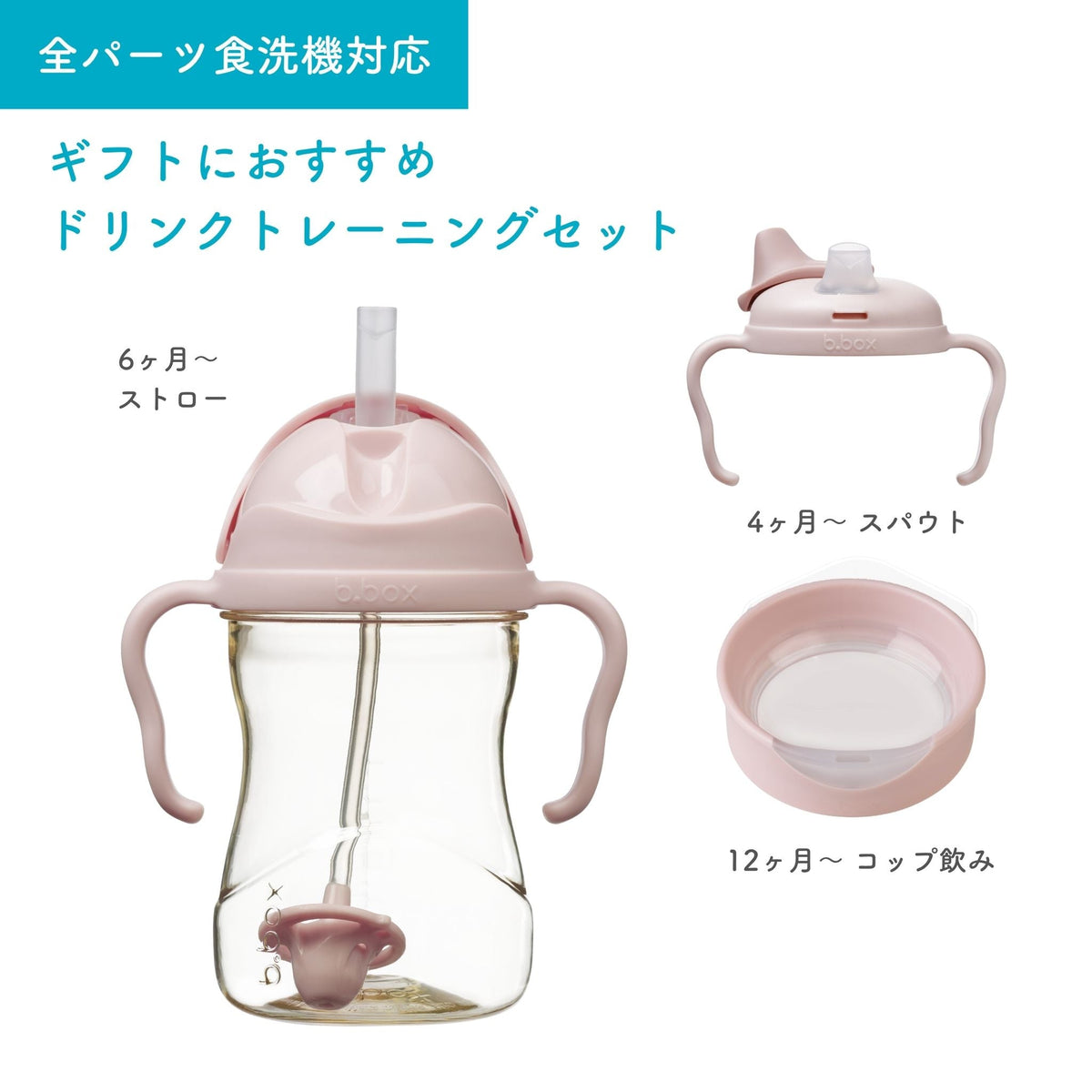3in1 PPSU Transition Set