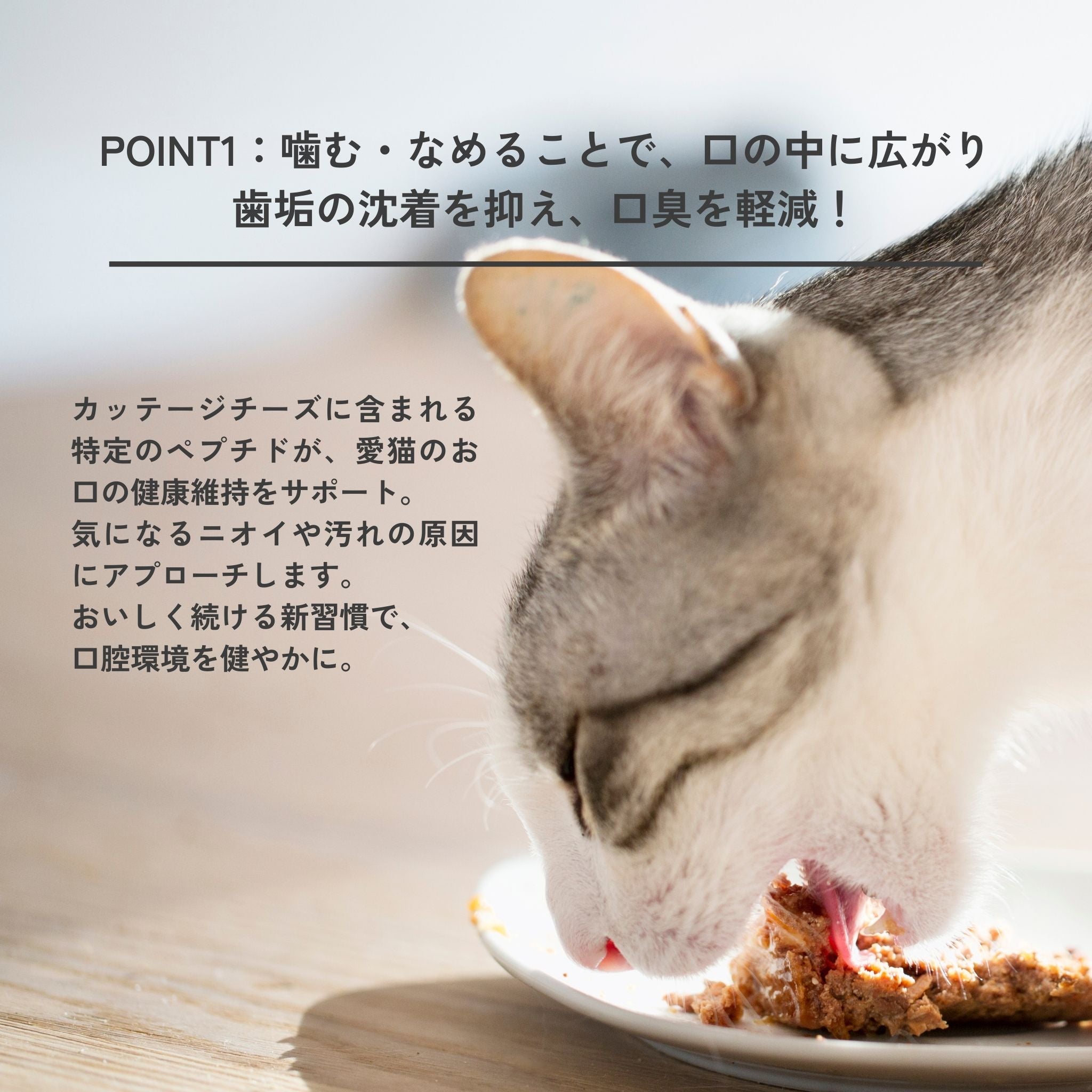 2-pack set Dental Flakes for cats