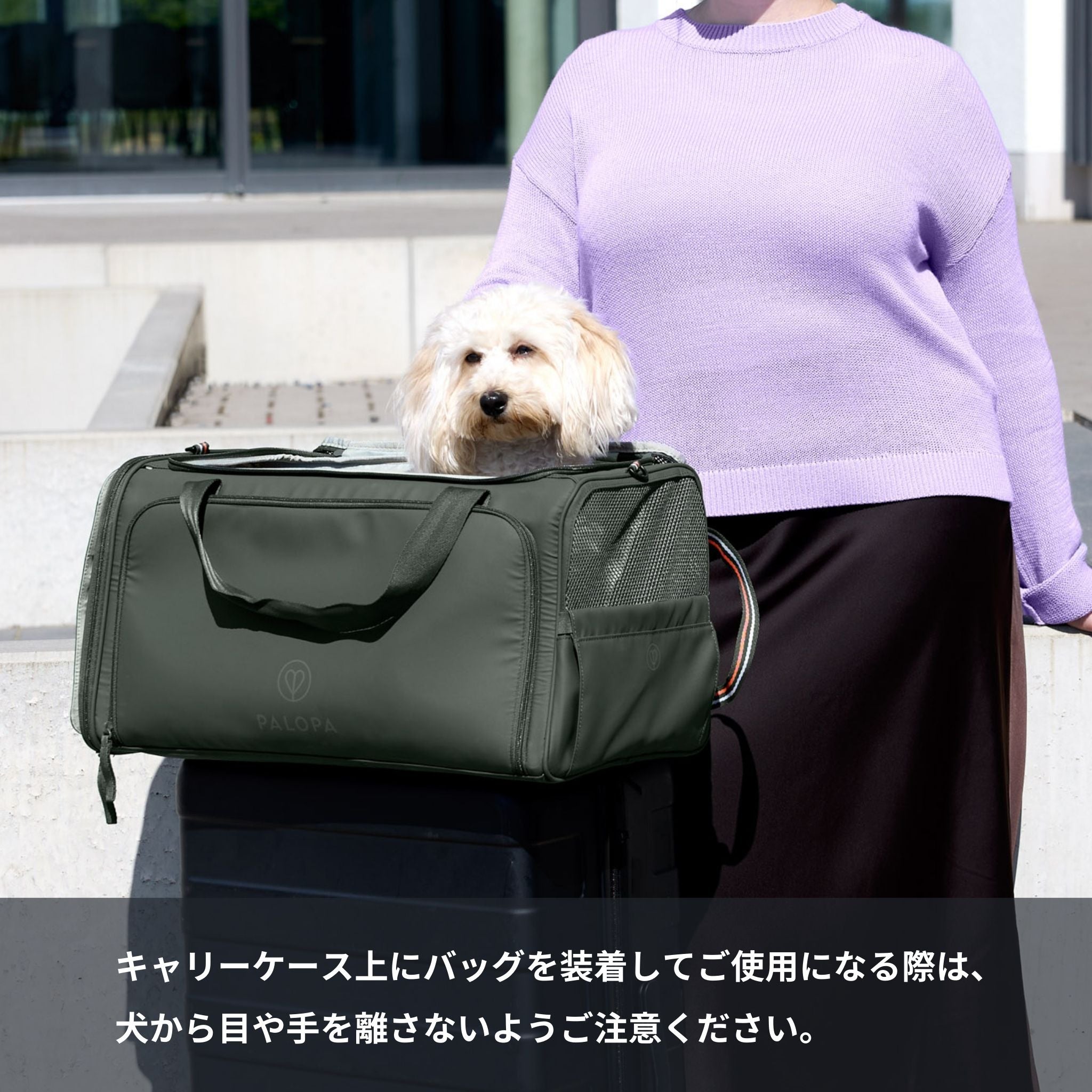Travel Carrier Bag Benno