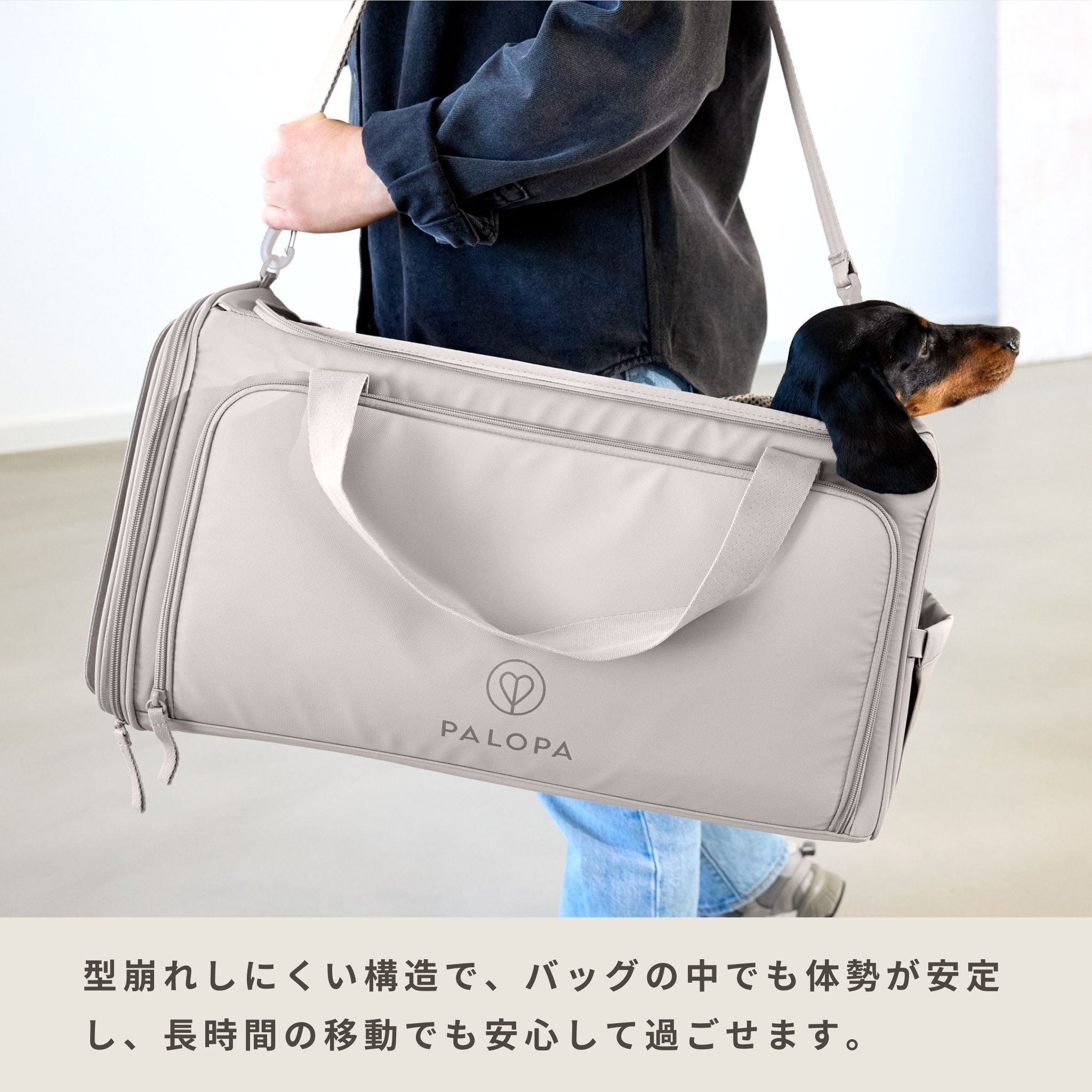 Travel Carrier Bag Benno