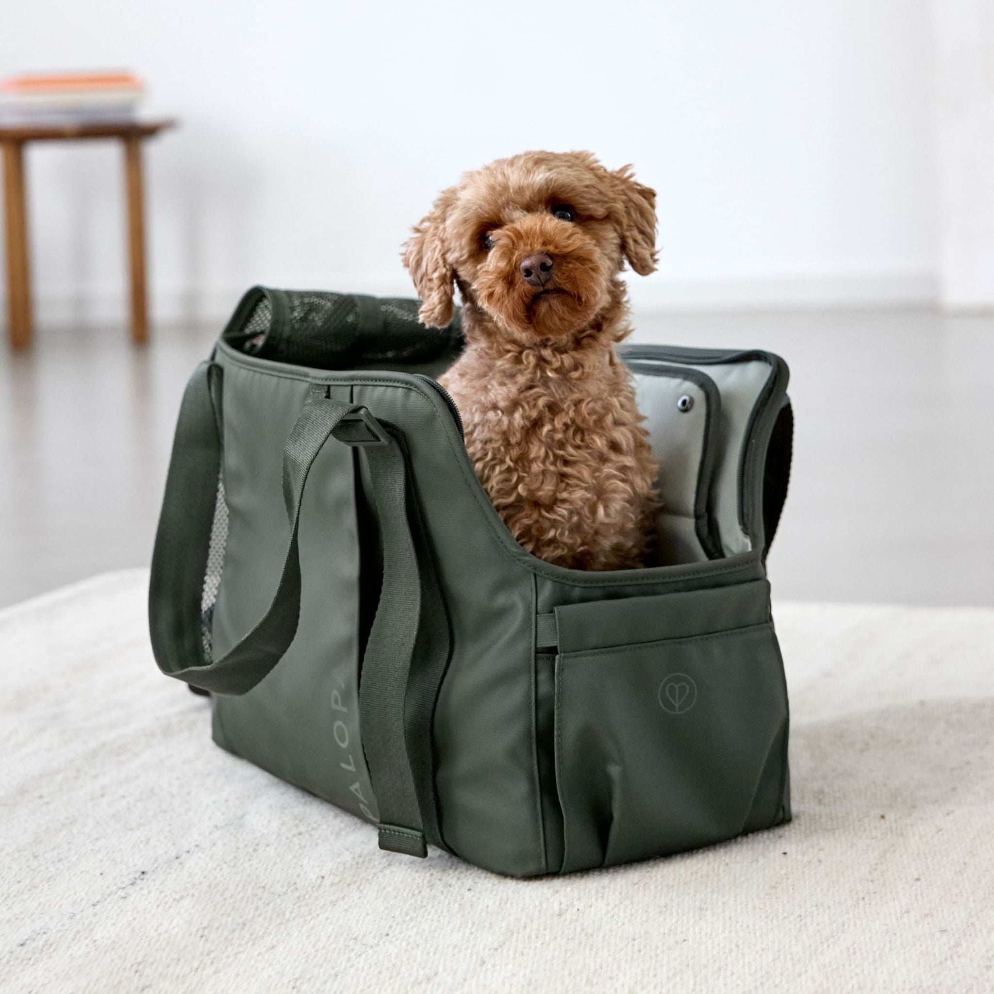 Carrier Bag Weda