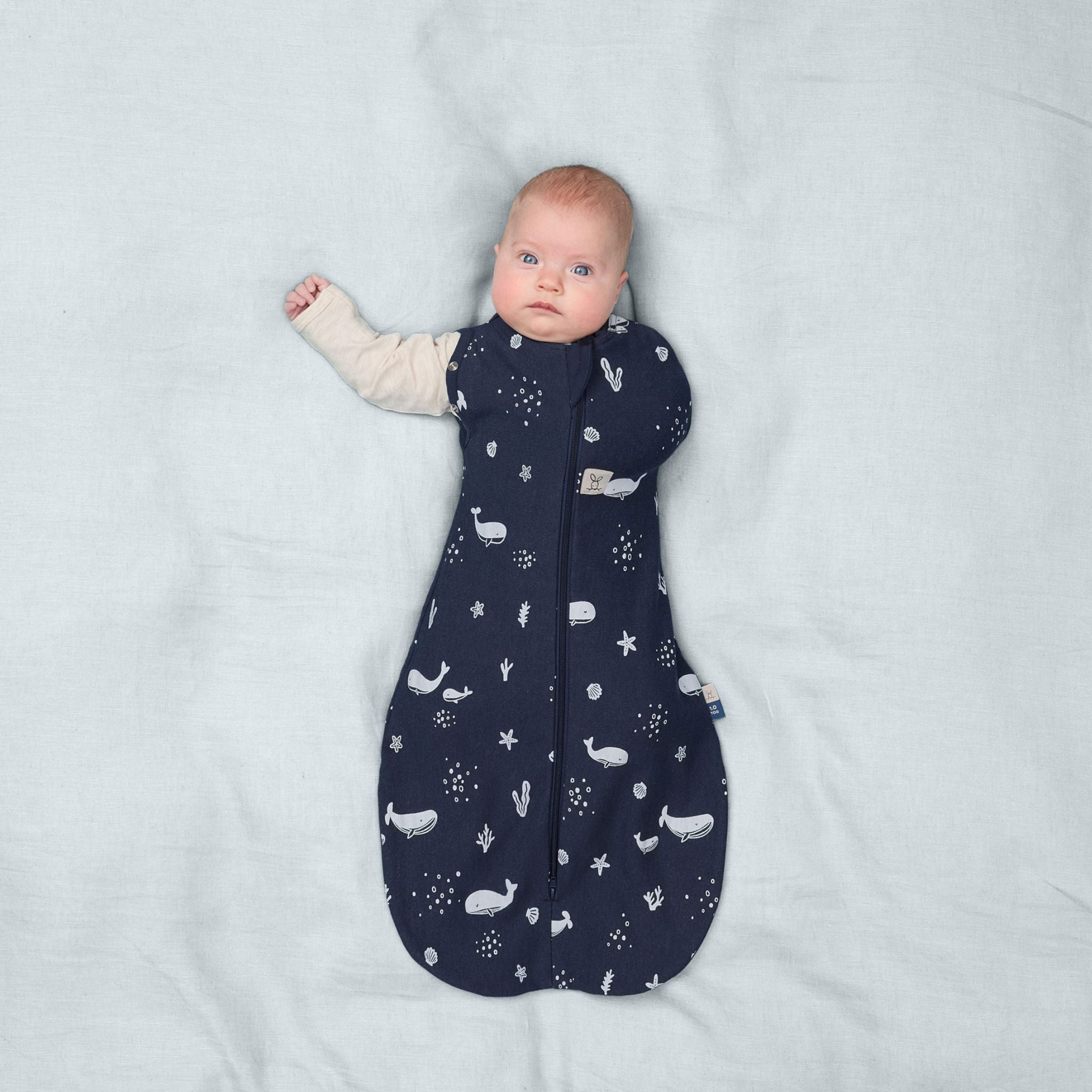 【NEW】Cocoon Swaddle Bag 1.0TOG