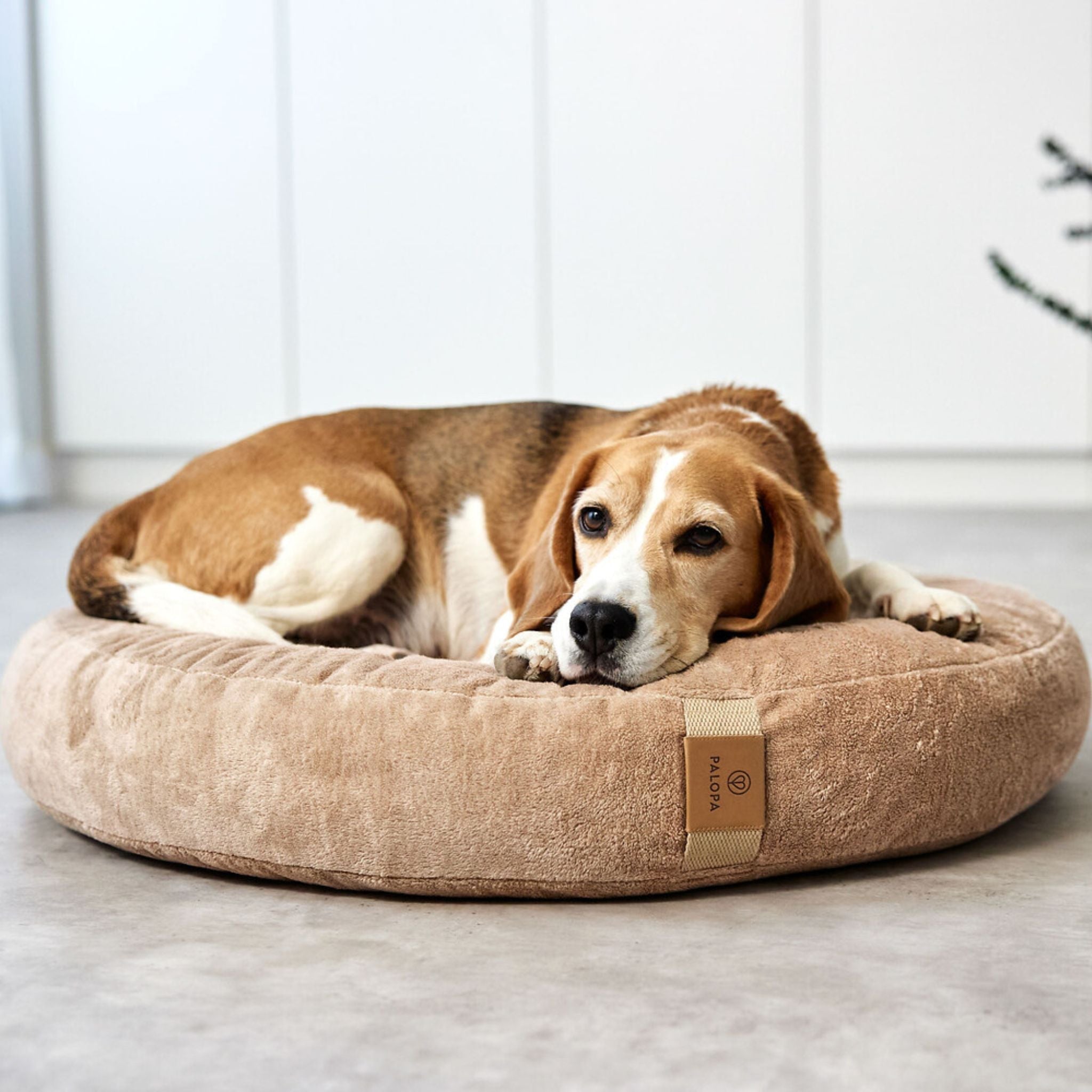 Dog Bed Donut
