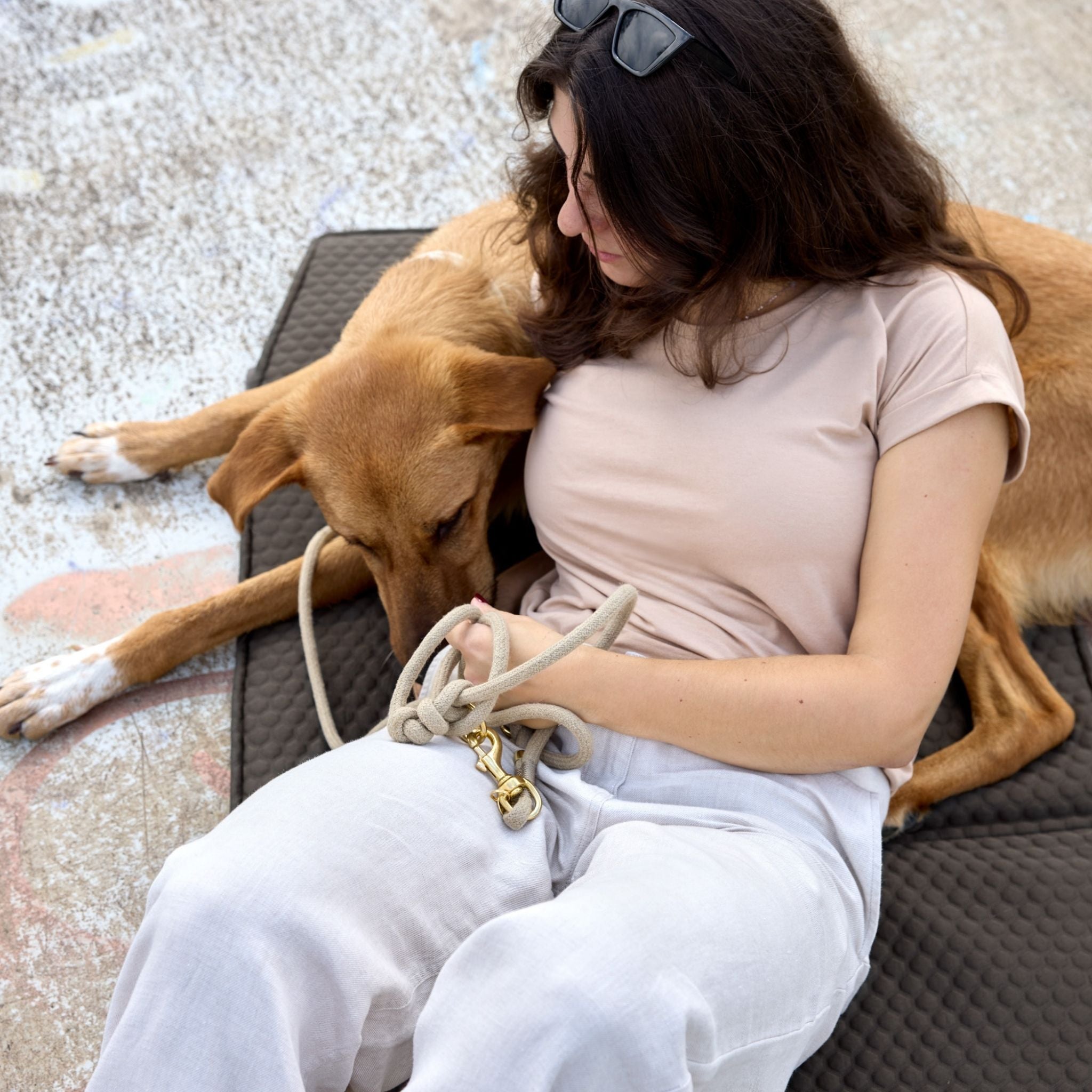 Dog Travel Bag Nobo