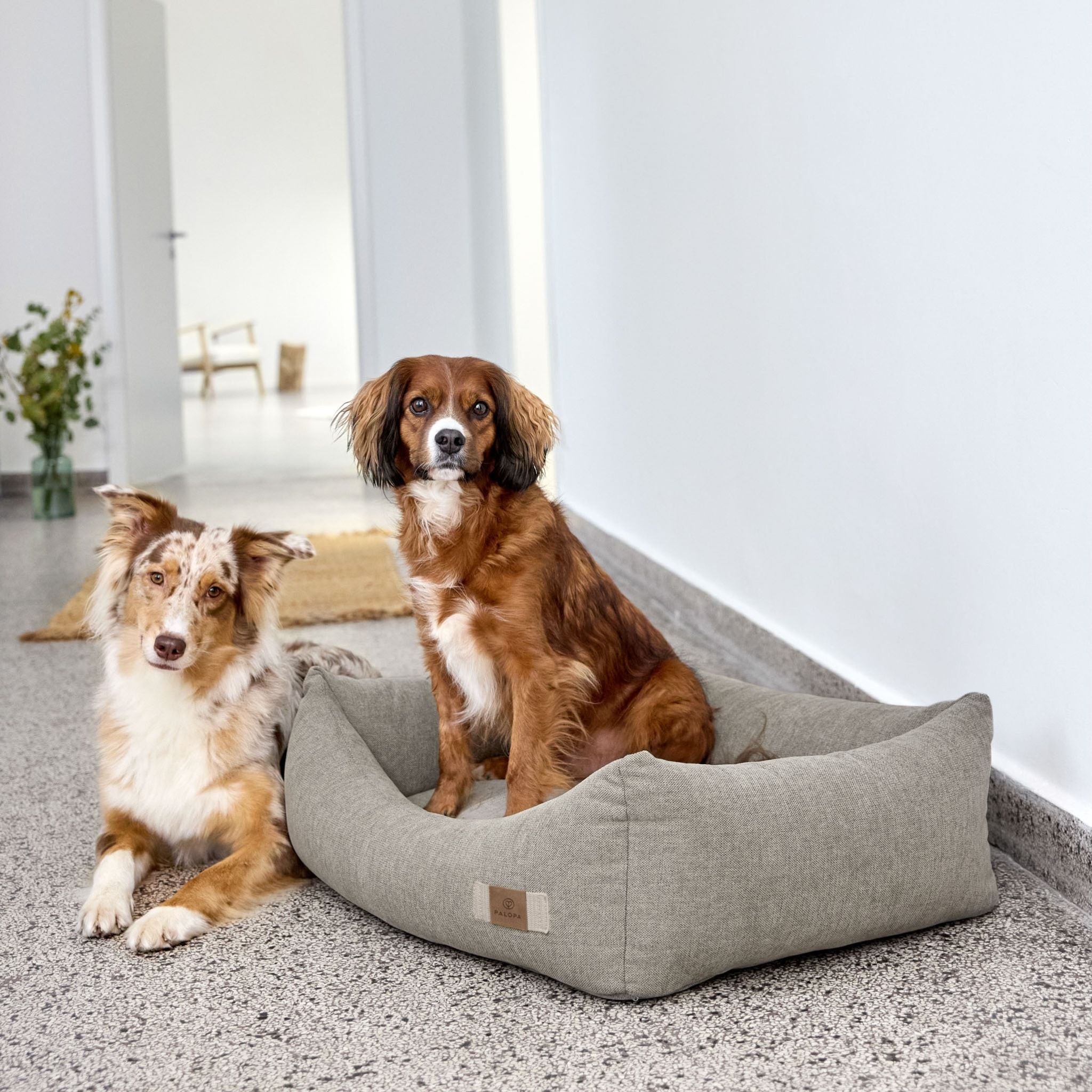 【NEW】Dog Bed Cotton