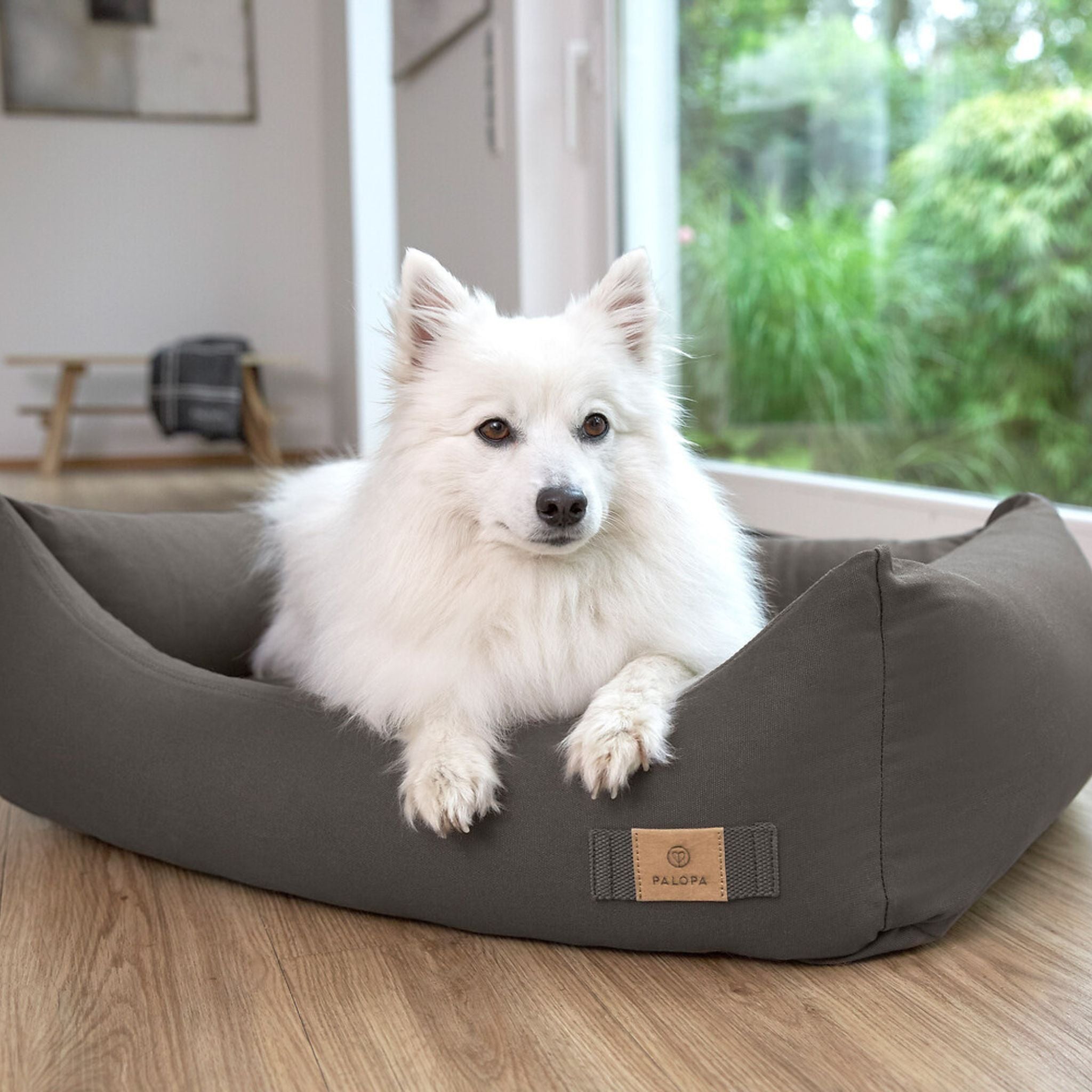 Dog Bed Cotton