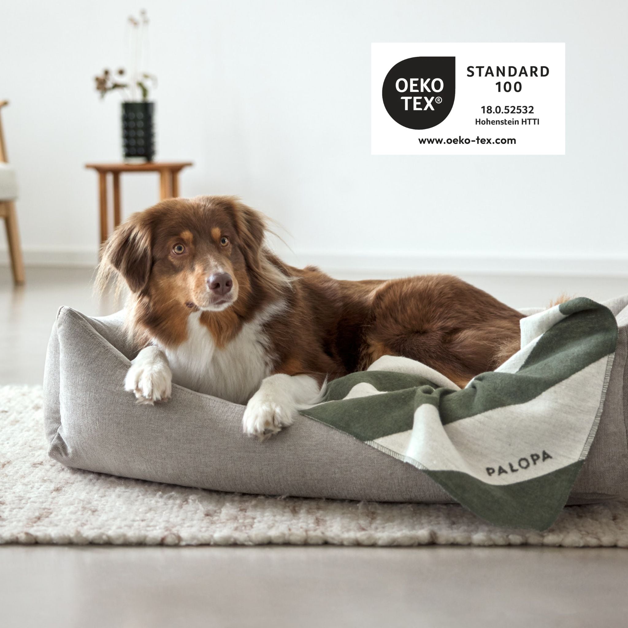 Dog Blanket Ida