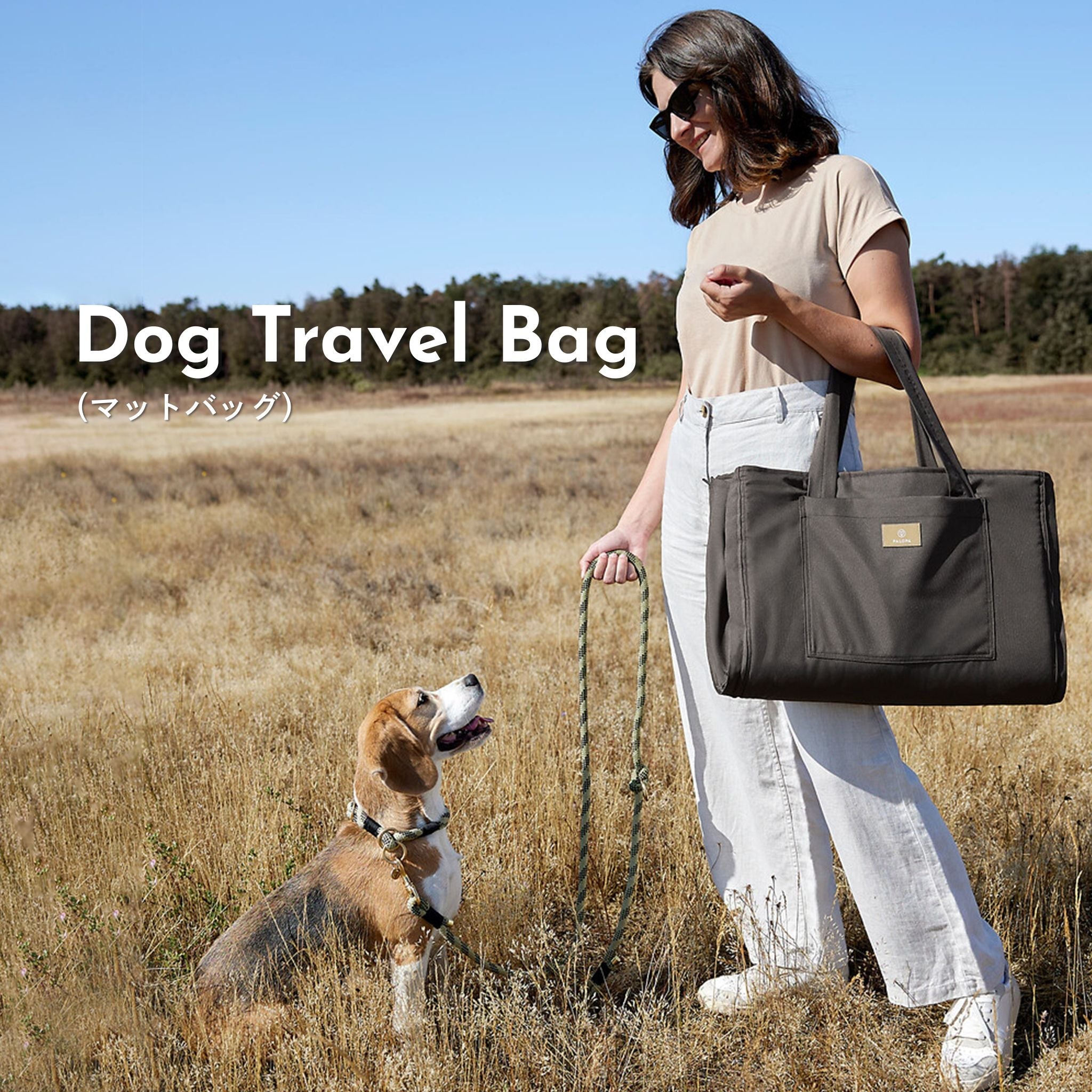 Dog Travel Bag Nobo