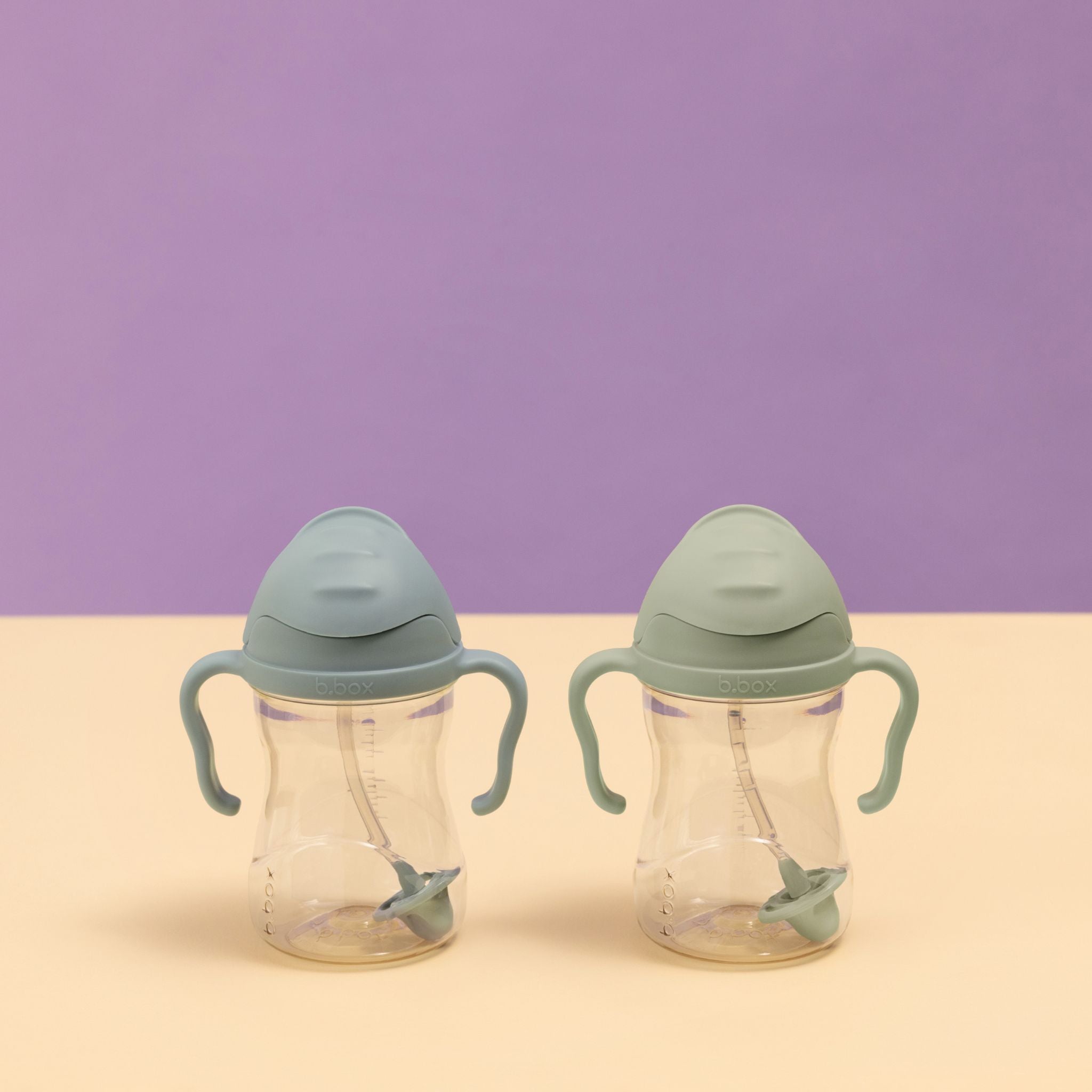 PPSU sippy cup