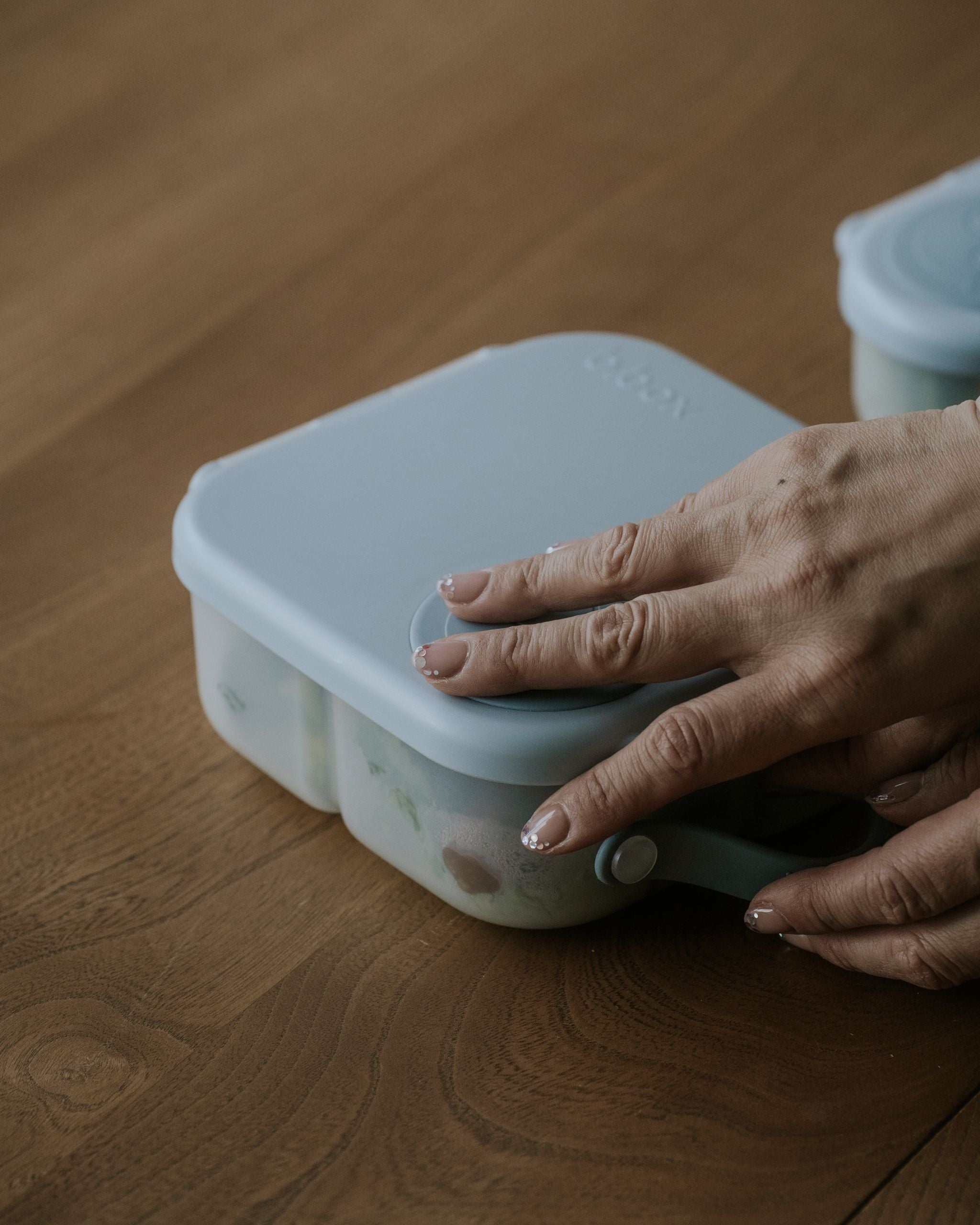 Mini Lunchbox