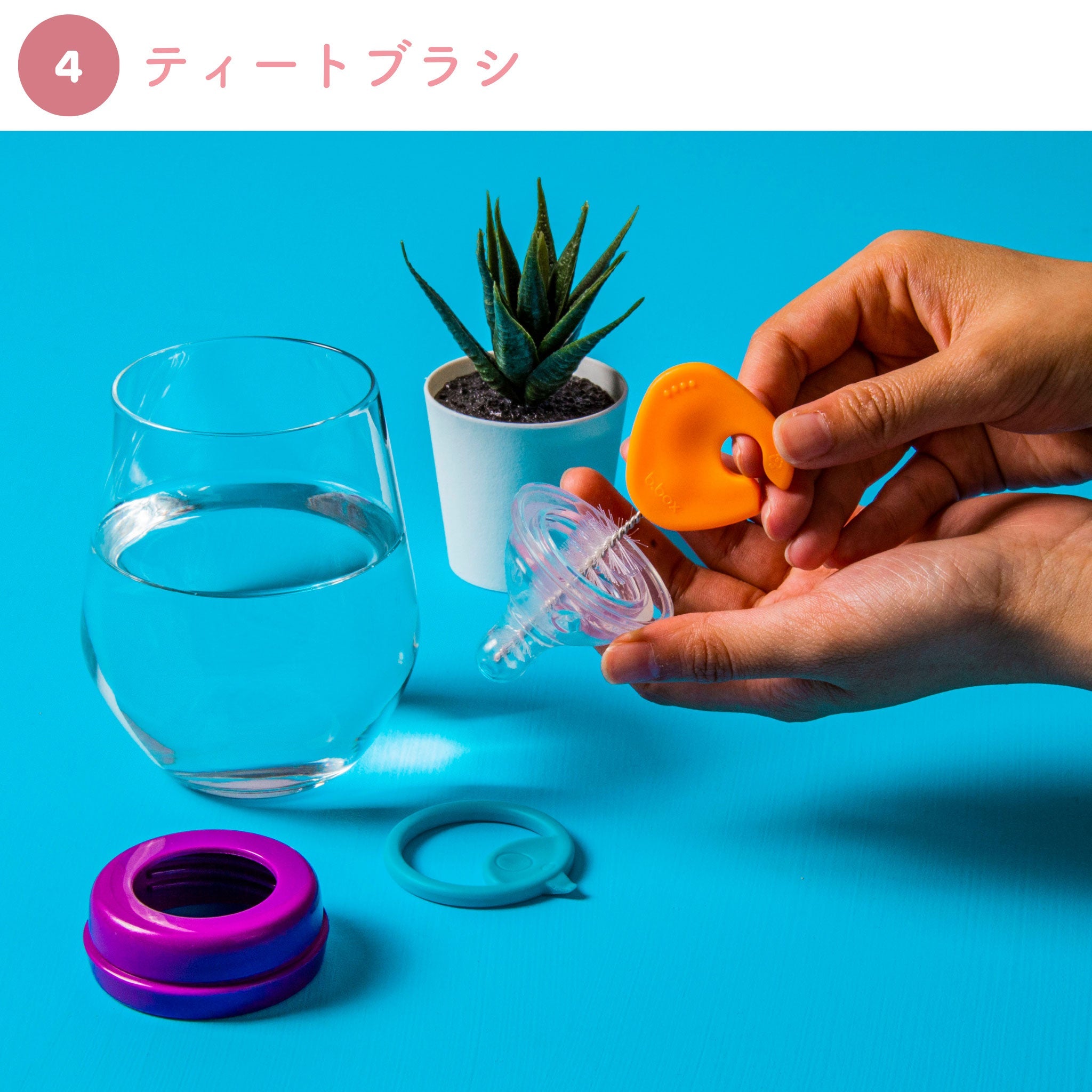 哺乳瓶に 乳首が洗えるティートブラシ ブラシ4