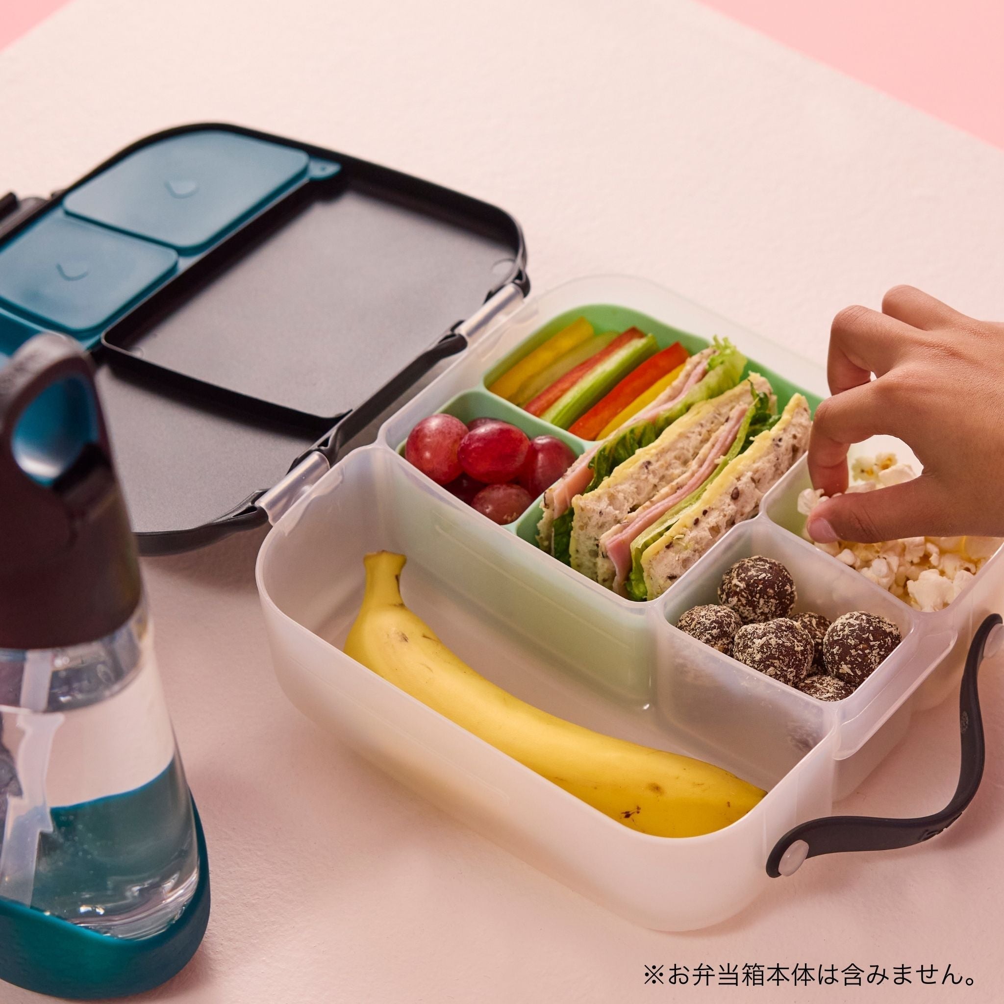 silicone bento buddy lunch