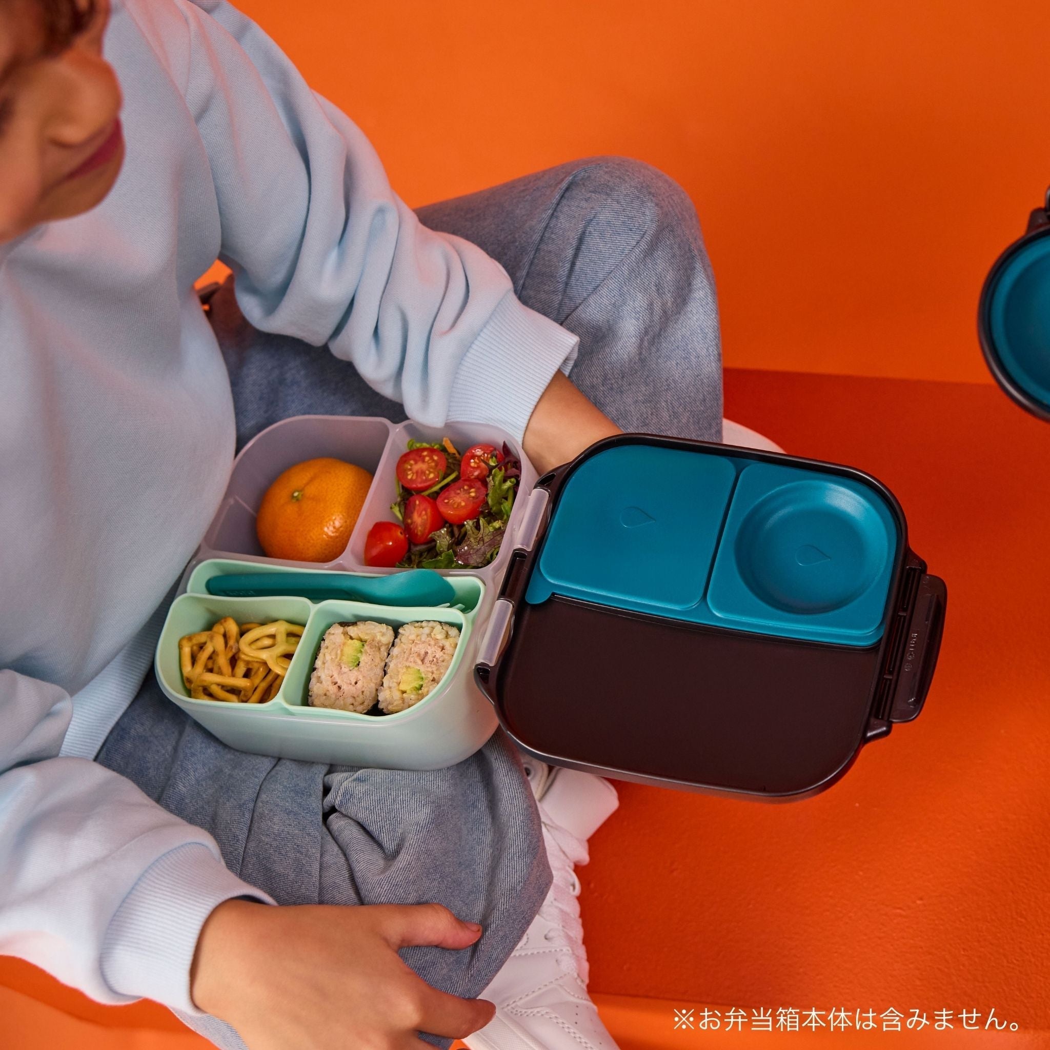 silicone bento tray mini
