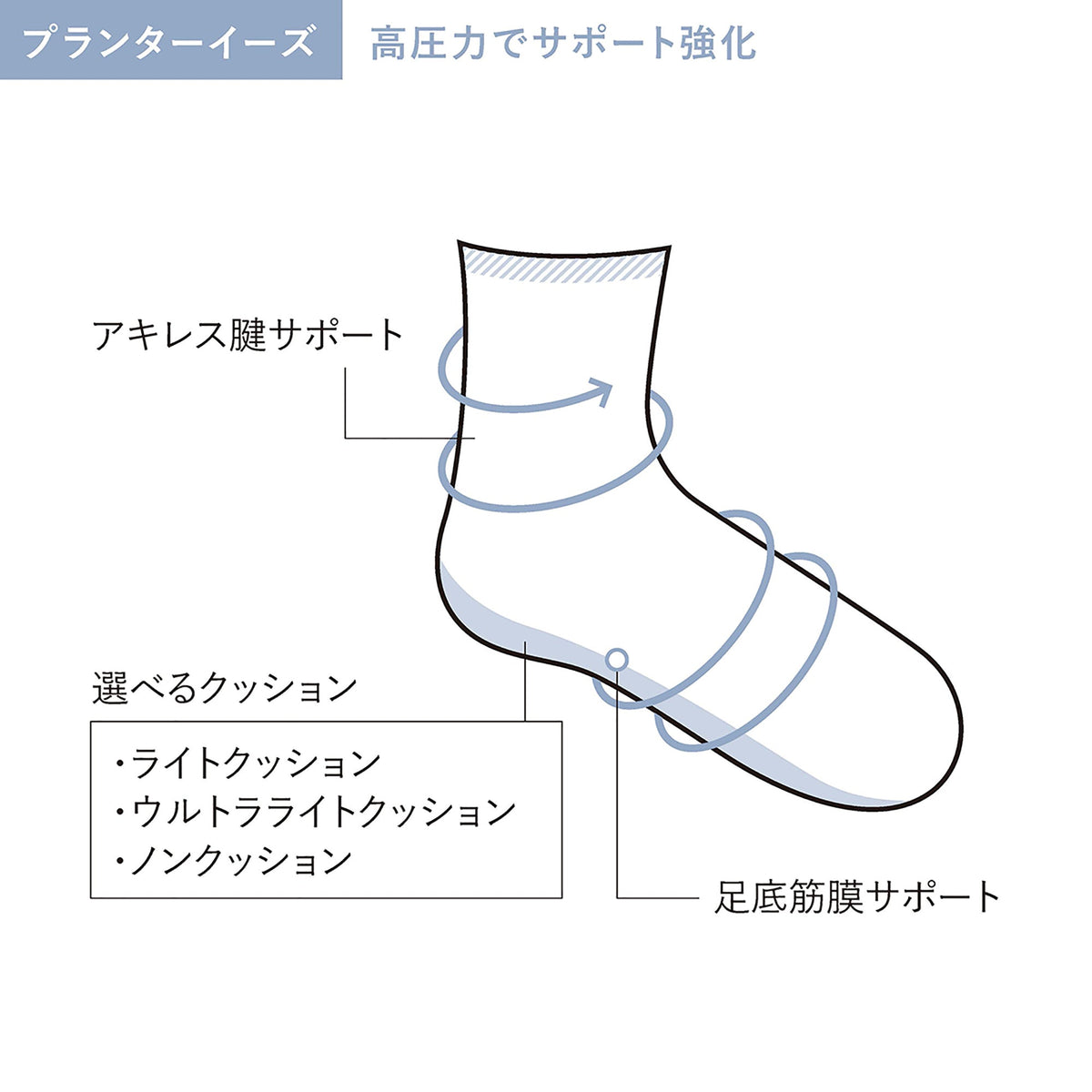 アキレス腱・足底筋膜のサポート位置を示す構造の図解