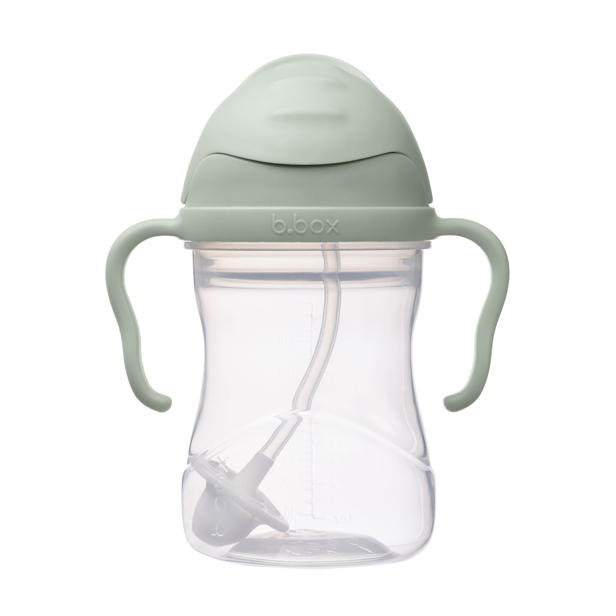 sippy cup