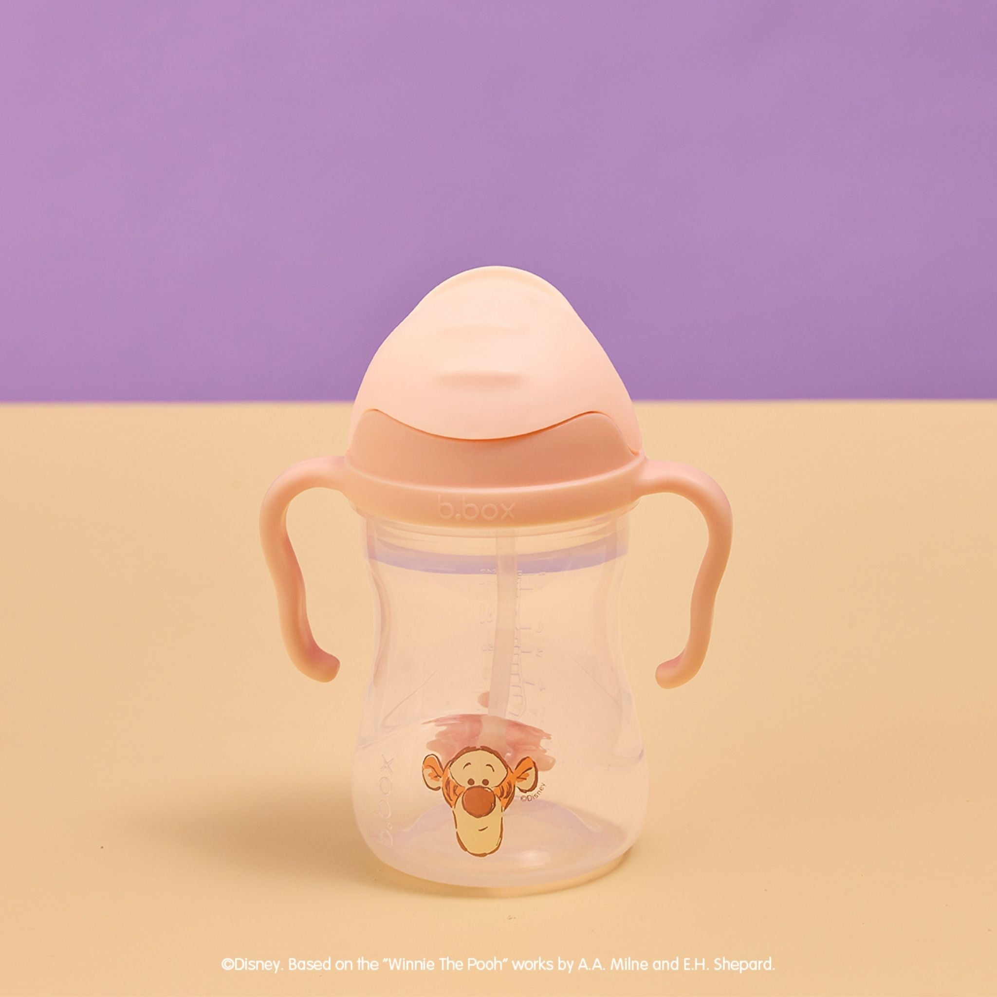 Disney Sippy Cup - WTP100 Tigger