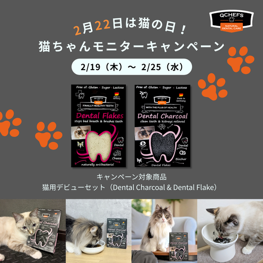 【2月22日は猫の日🐈】おいしく噛んで、お口の健康維持を。QCHEFS、猫の日にちなんだ〈22名様〉モニターキャンペーン開催