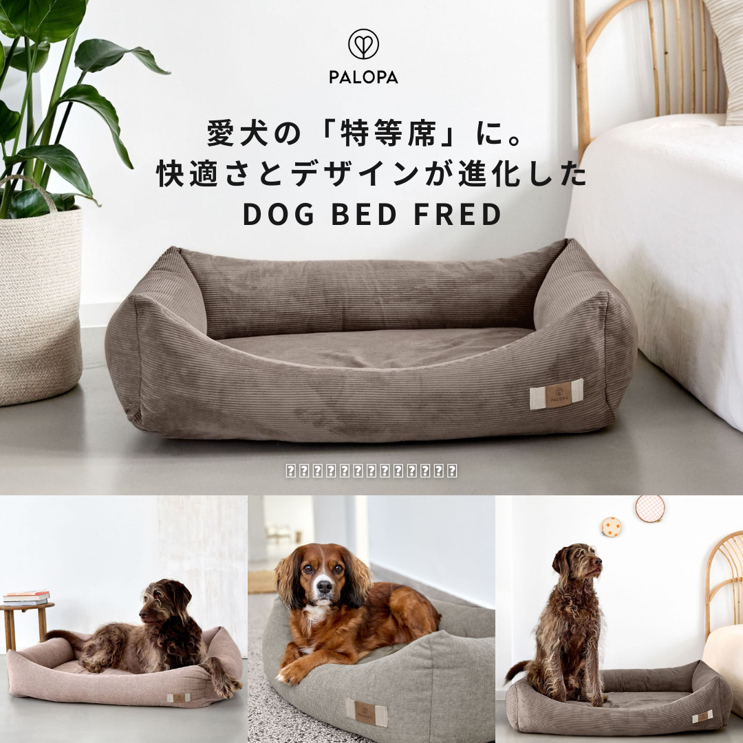 【PALOPA】愛犬の「特等席」に。専門家が認めたエルゴノミック設計〈Dog Bed Fred〉に待望の新バリエーションが仲間入り
