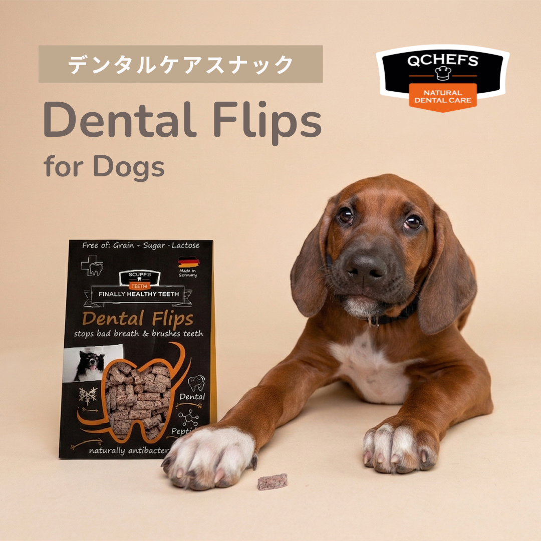 “噛んでケア”という新習慣。QCHEFSの犬用デンタルスナック「Dental Flips for Dogs」が3月27日（金）より発売。