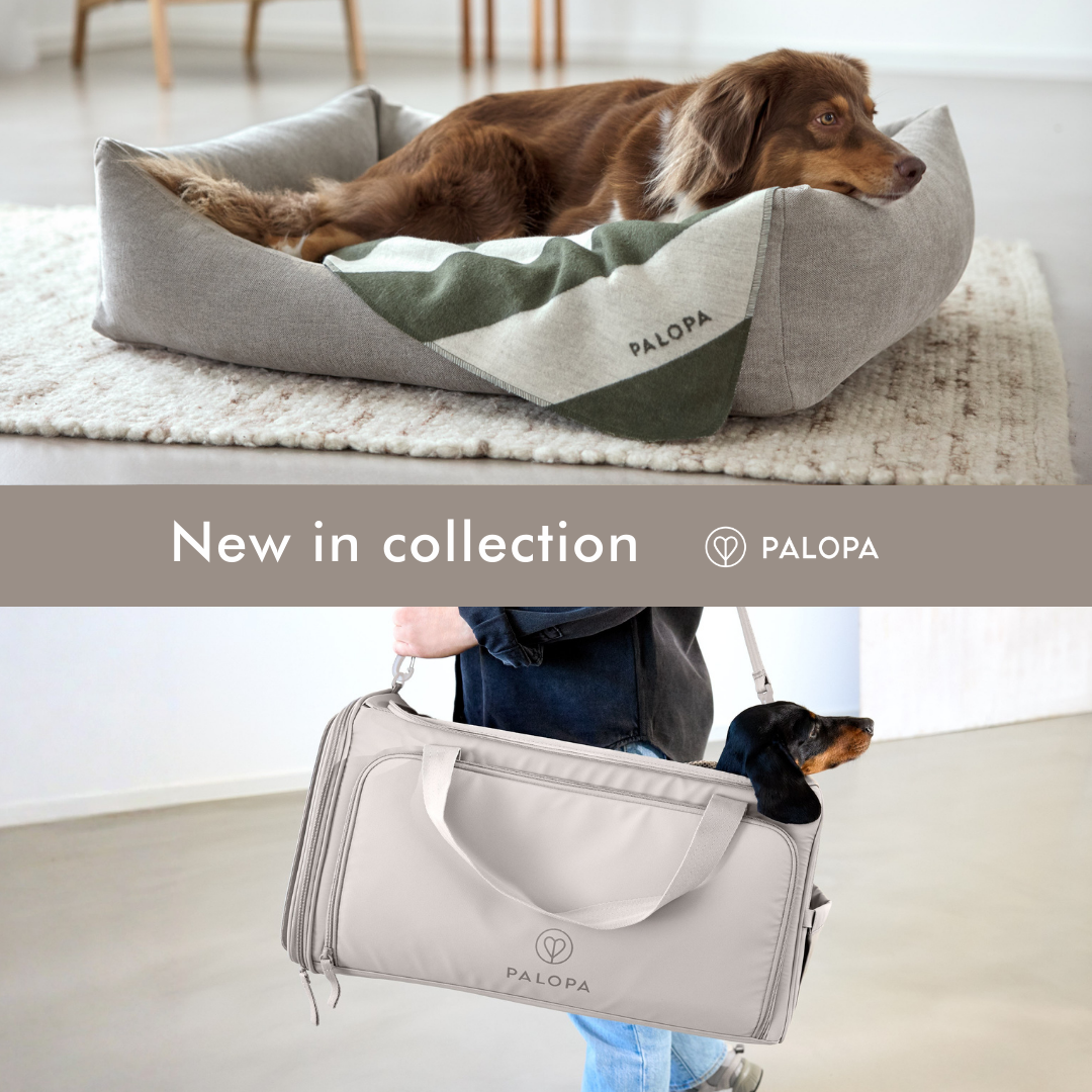 ドイツ発、環境にやさしいドッグアイテムブランド『PALOPA（パロパ）』 春の新作コレクション2026年3月11日（水）より発売開始
