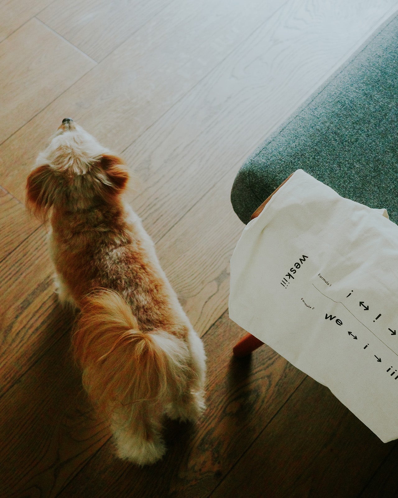 For Pets