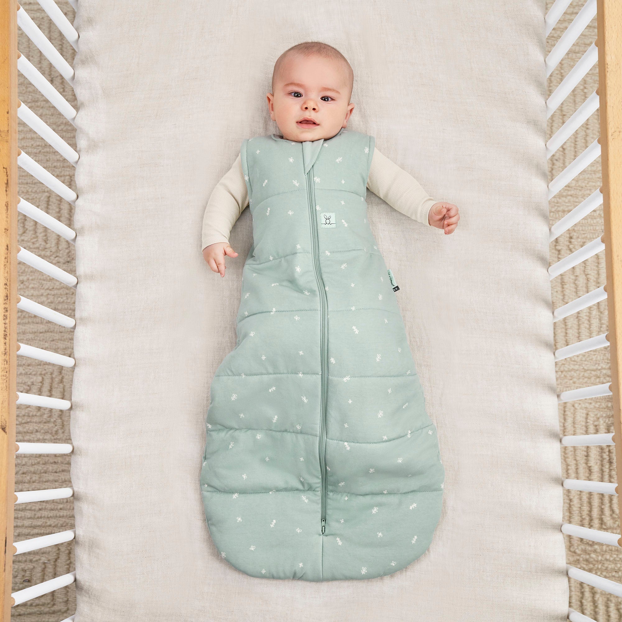 Sleeping Bag 2.5 TOG