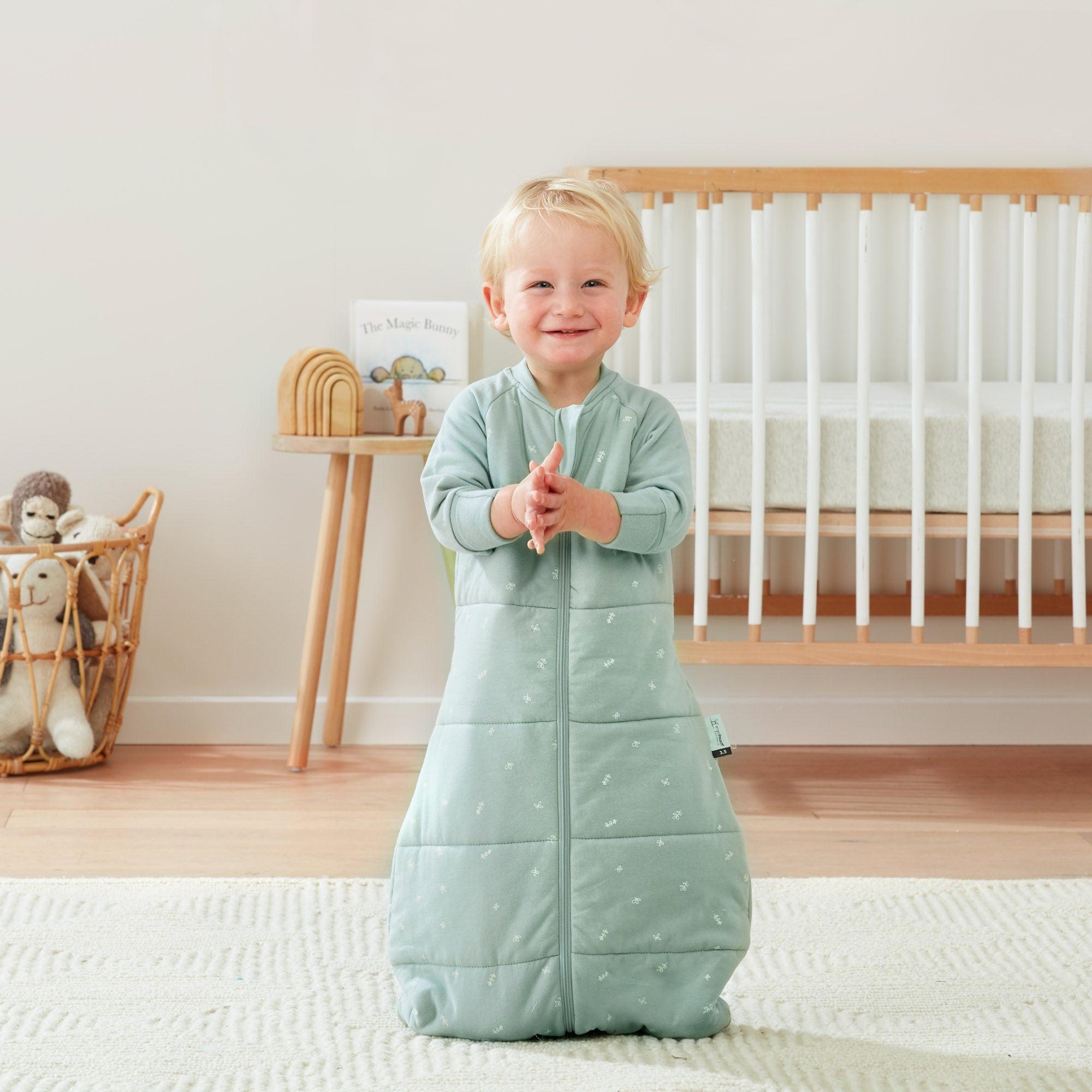 Sleeping Bag 2.5 TOG