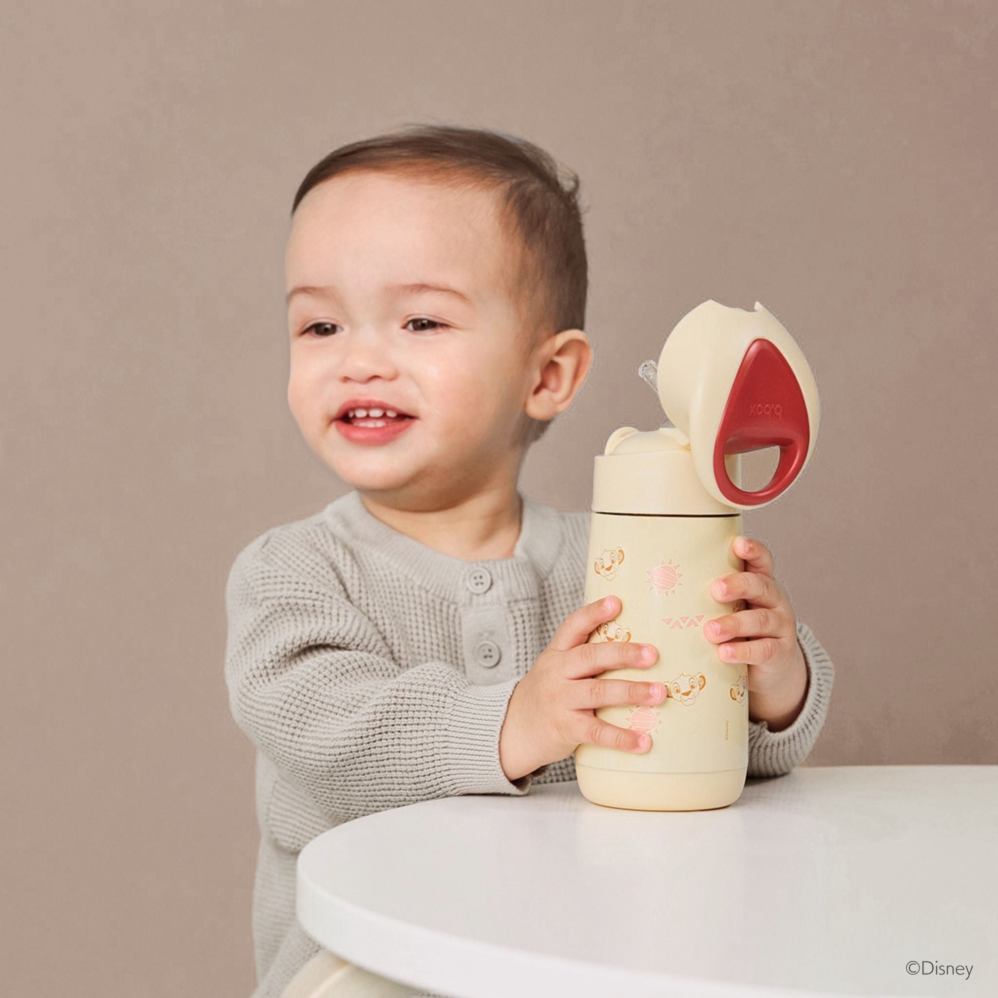 350ml Disney Insulated Drink Bottle - Lion King