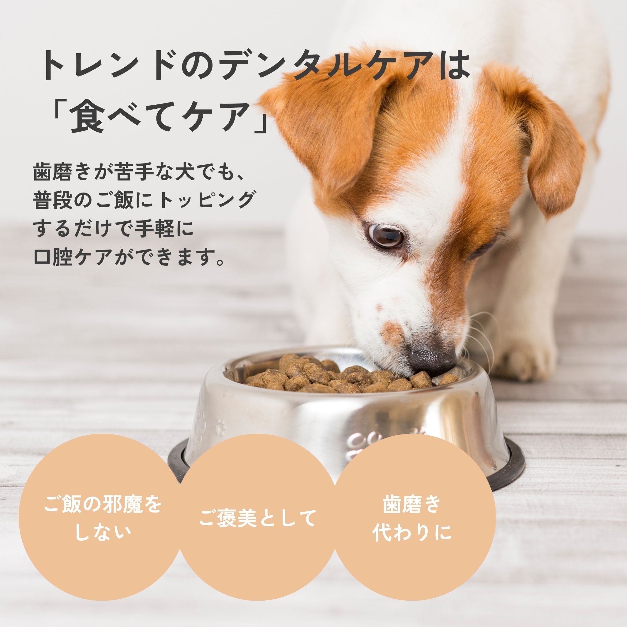 2-pack set Dental Flakes for dogs