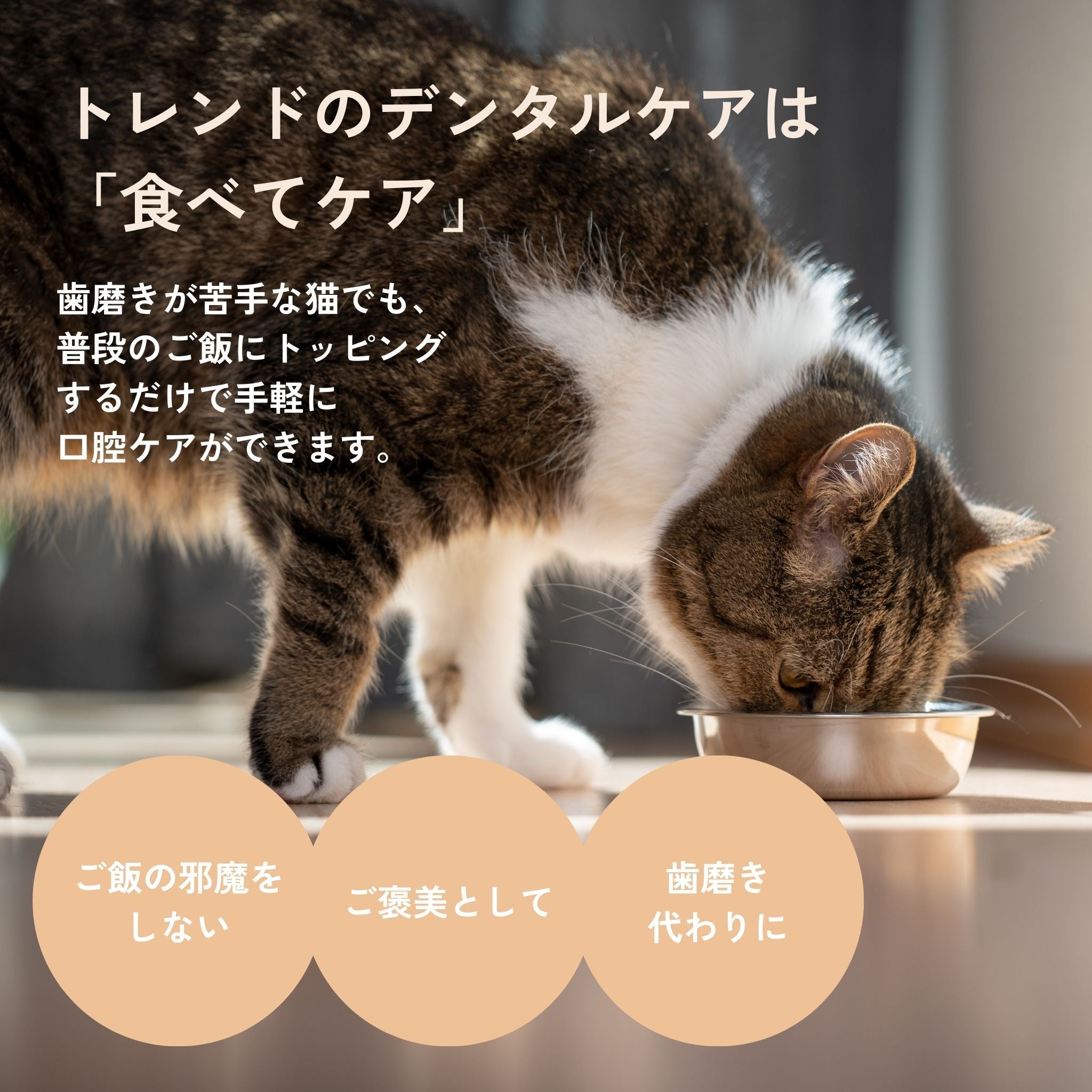 2-pack set Dental Flakes for cats