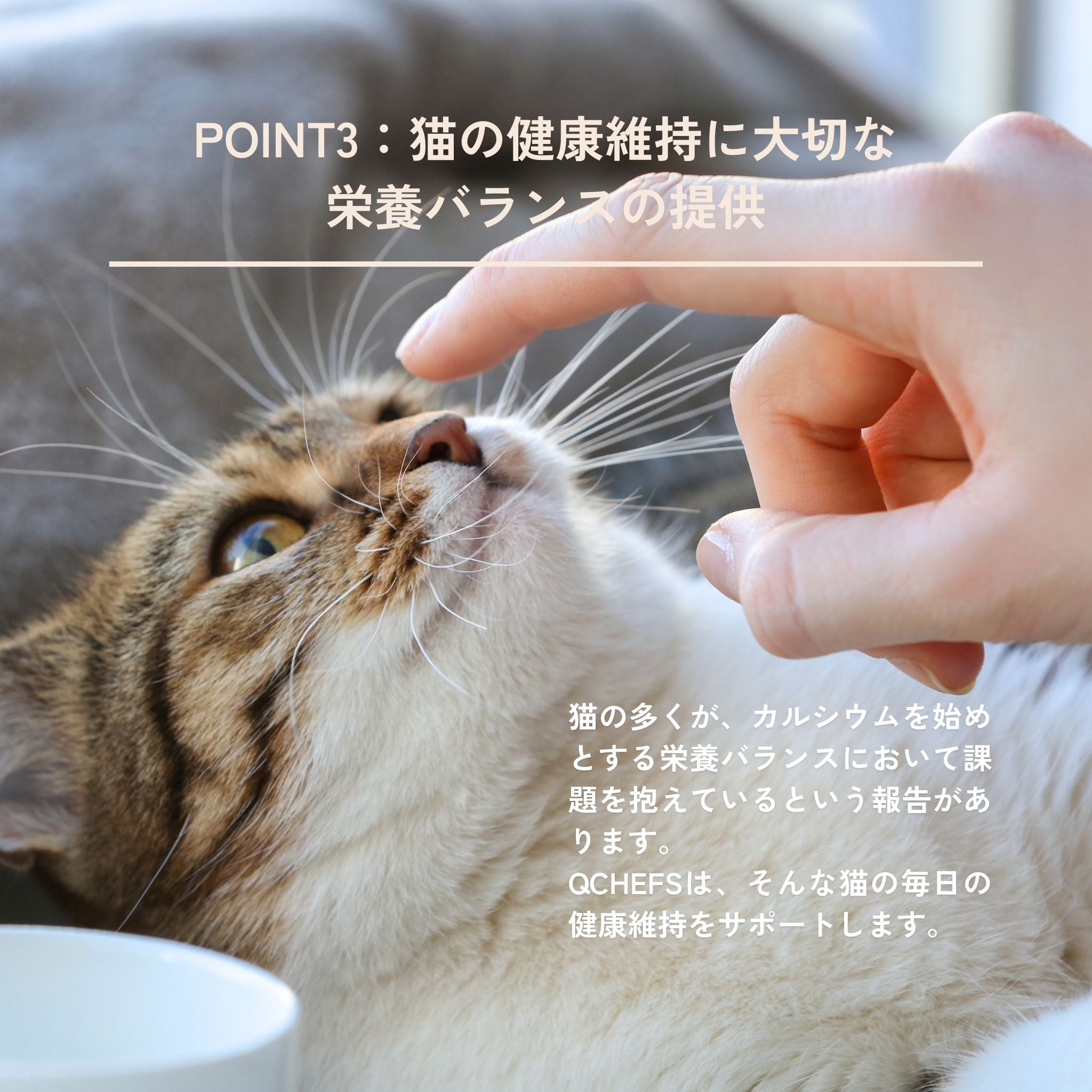 3-pack set Dental Flakes for cats