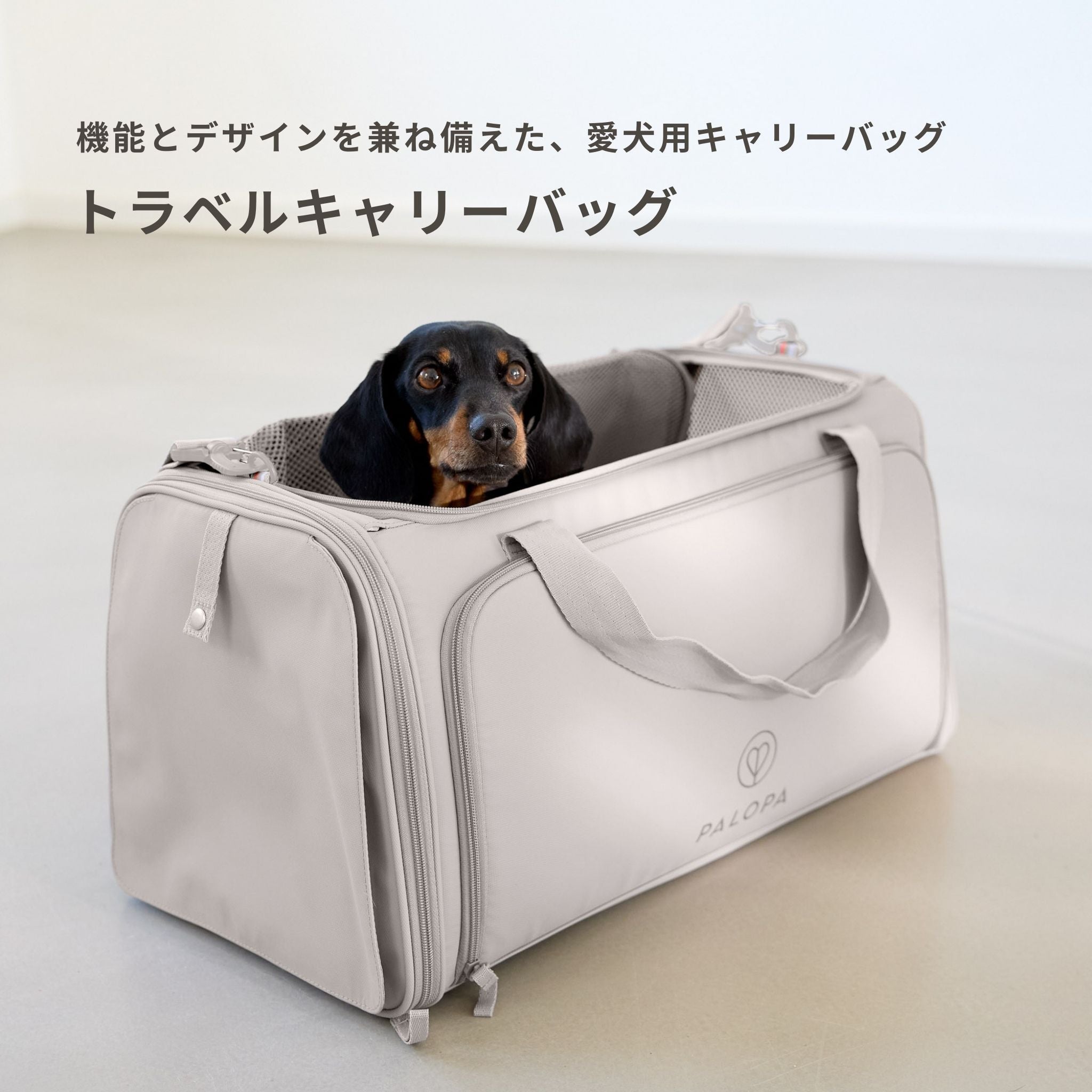 Travel Carrier Bag Benno
