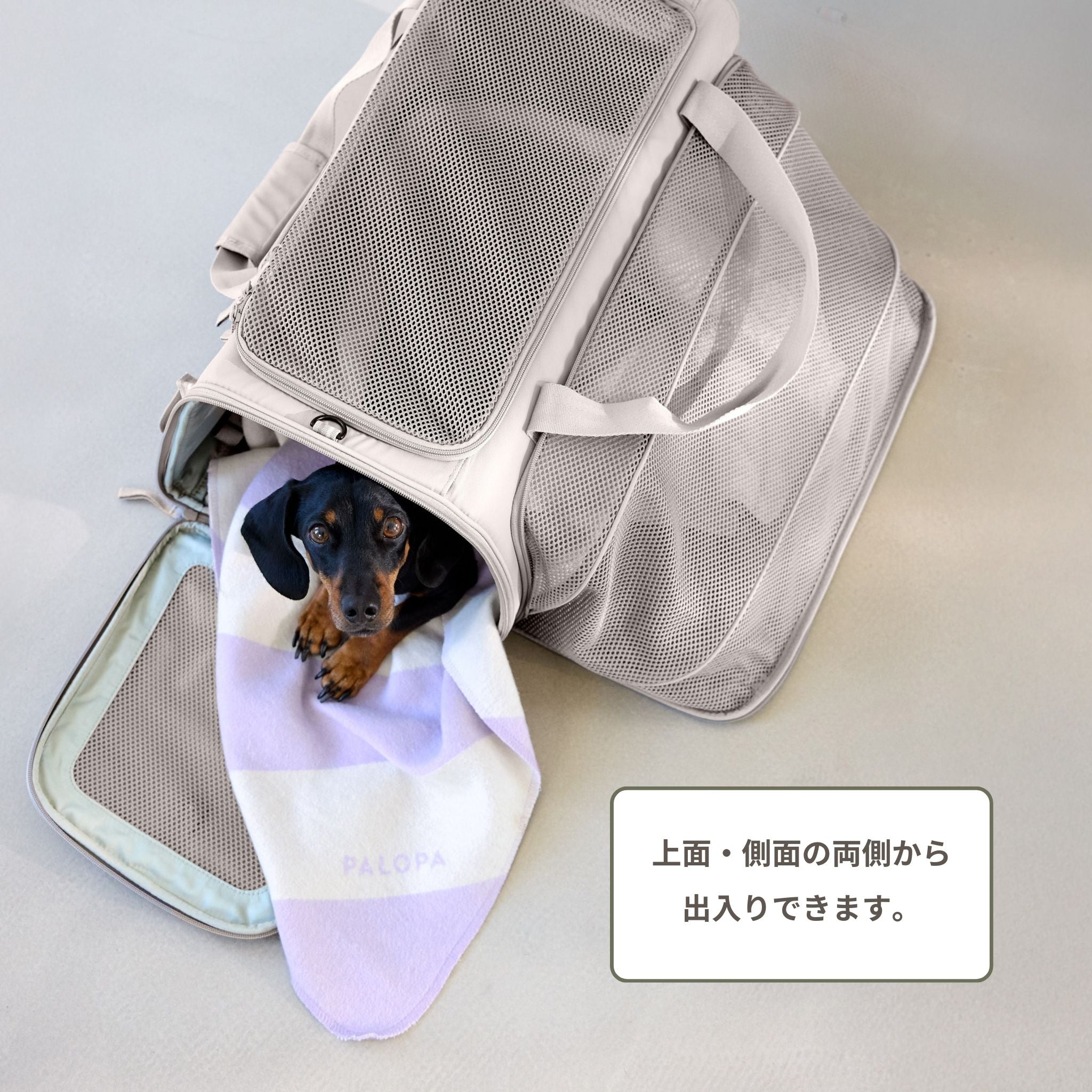 Travel Carrier Bag Benno