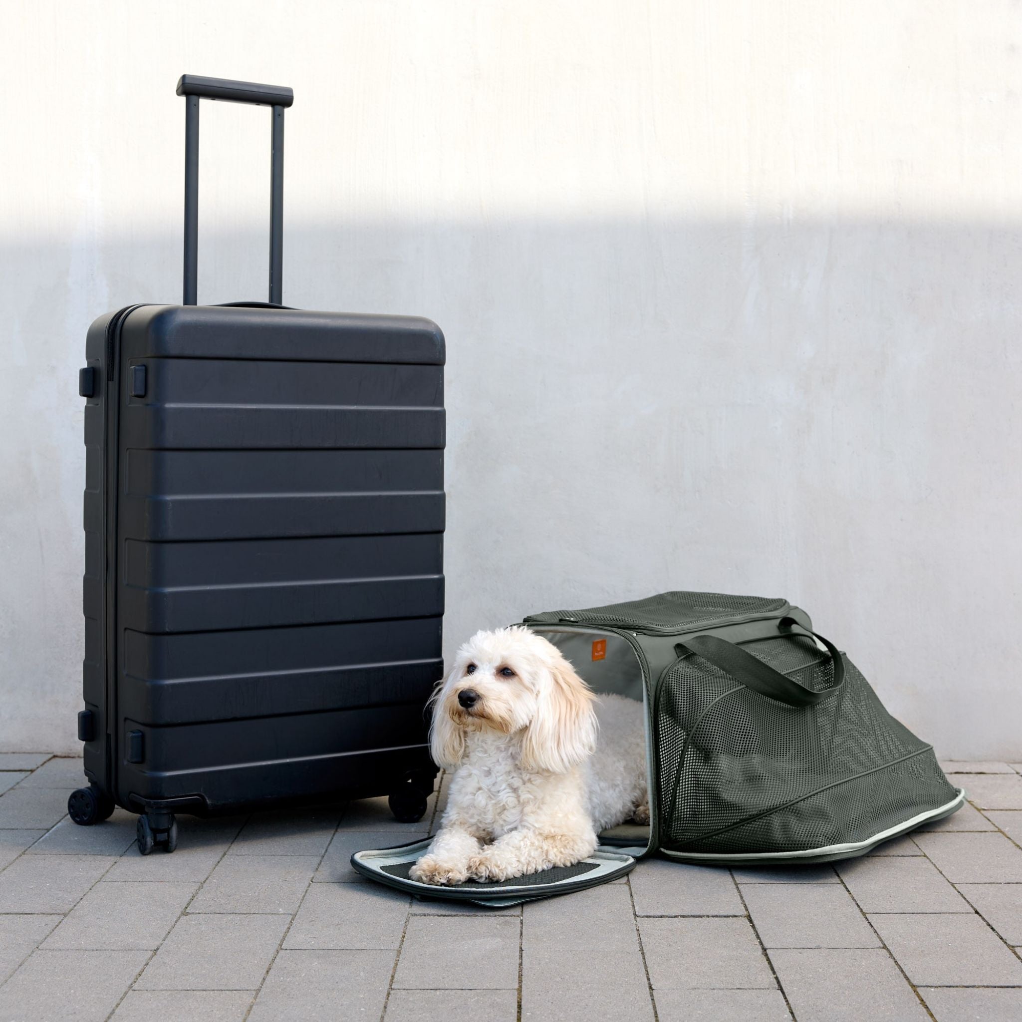 Travel Carrier Bag Benno