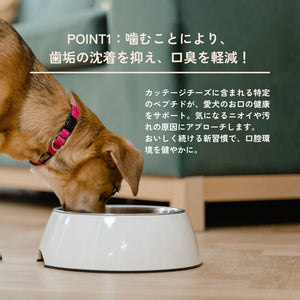 白いフードボウルからごはんを食べる犬