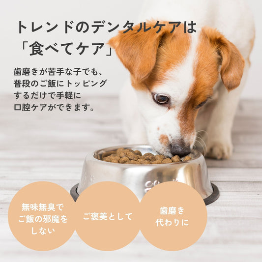Debut Set Dental Charcoal for dogs