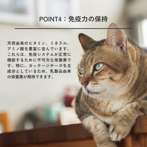 テーブルの上に座る猫の横顔アップ