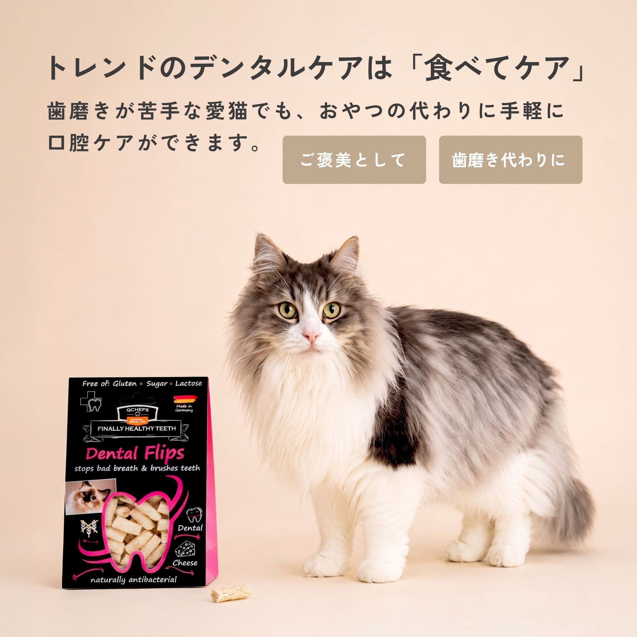 Dental Flips for cats