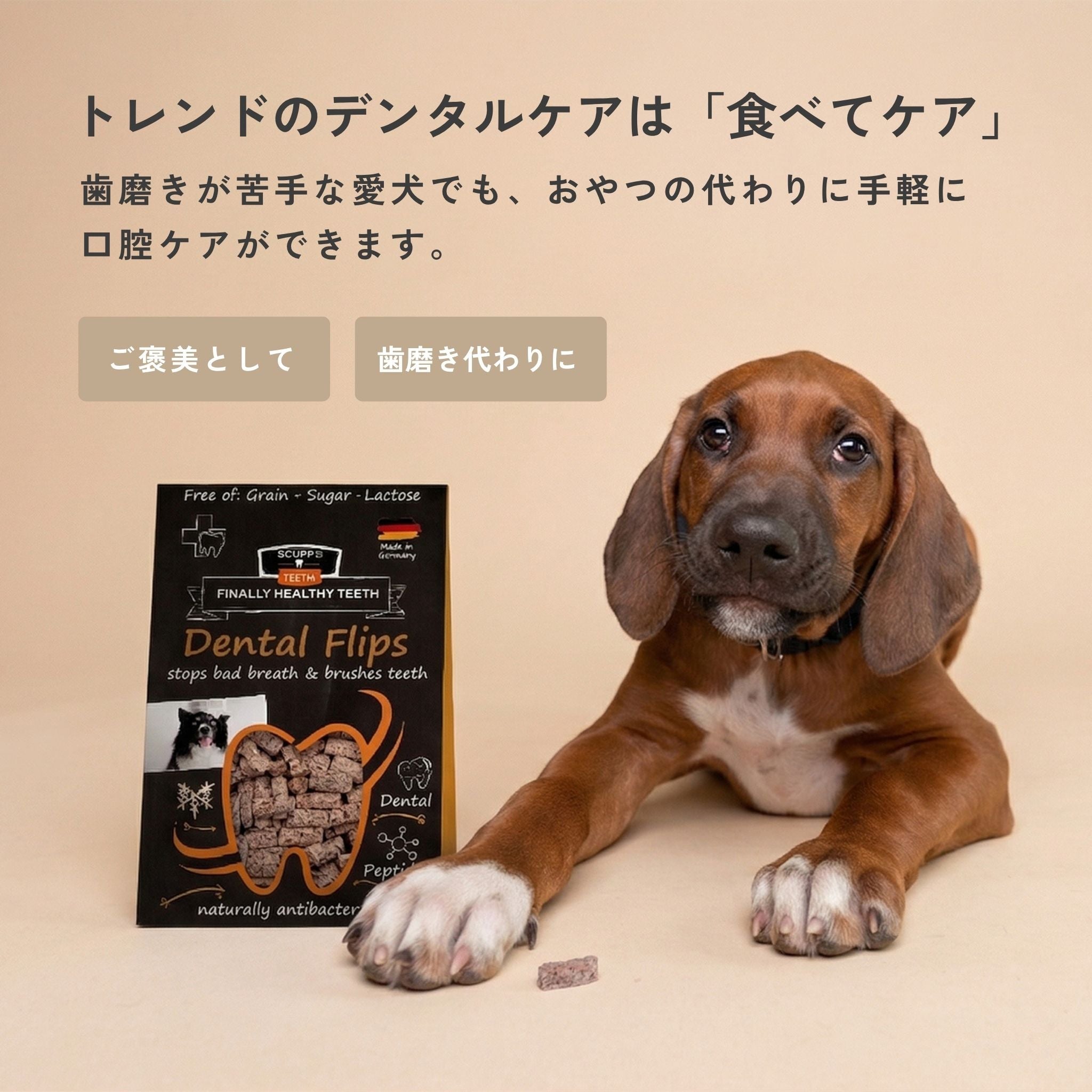 Dental Flips for Dogs