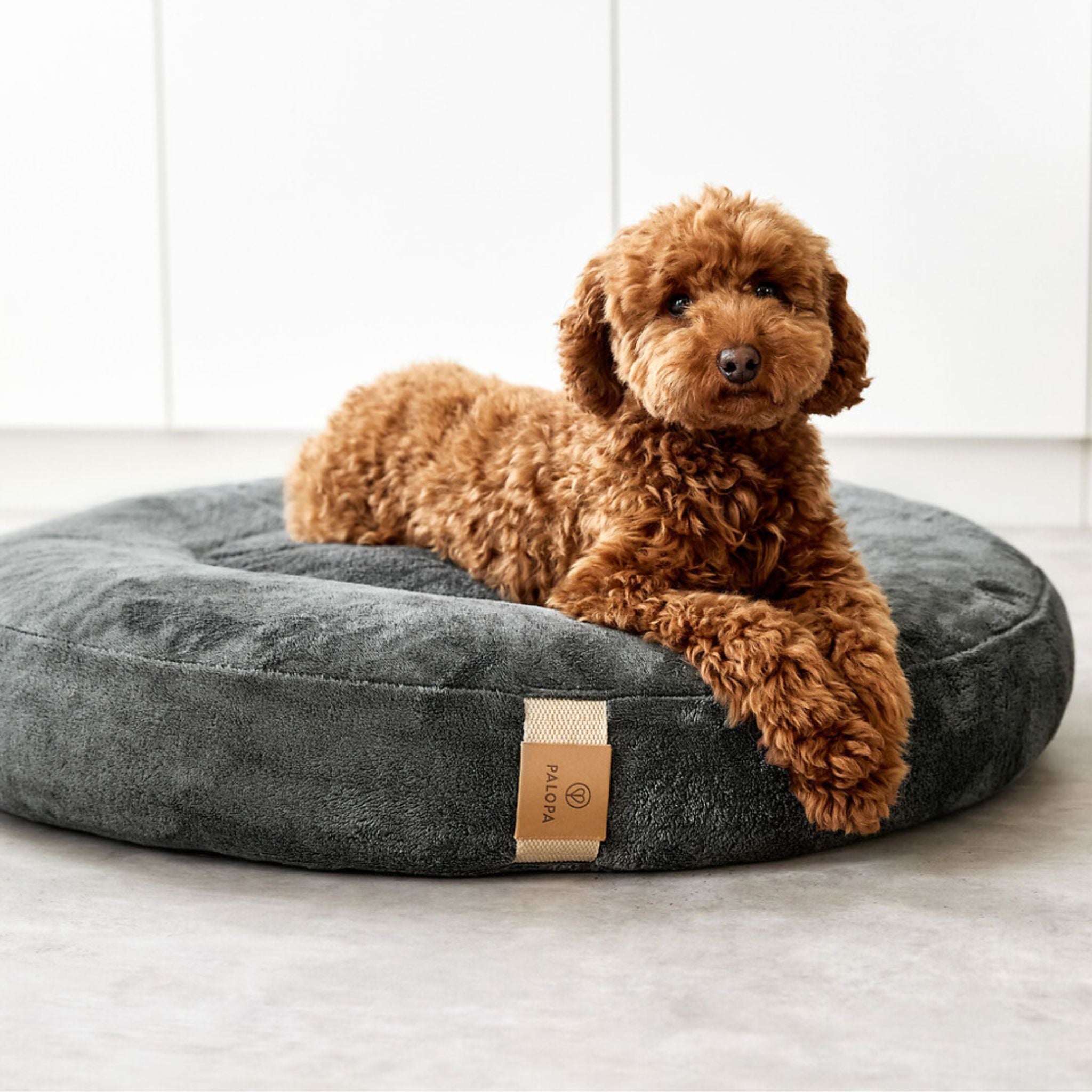 Dog Bed Donut
