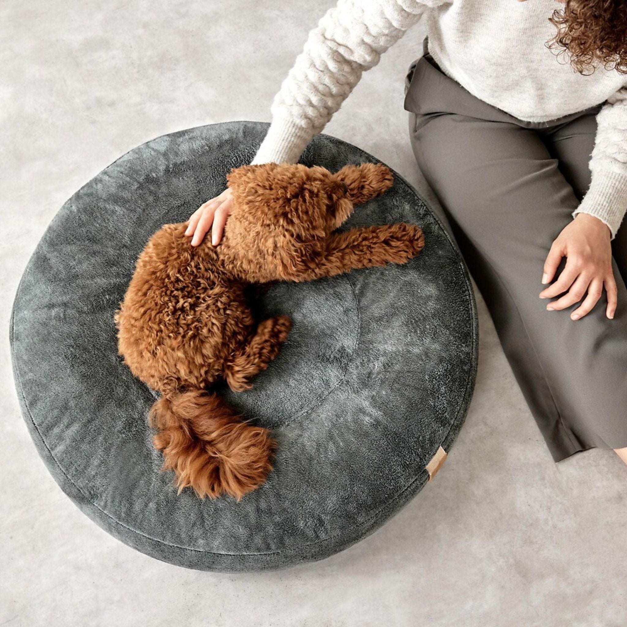 Dog Bed Donut