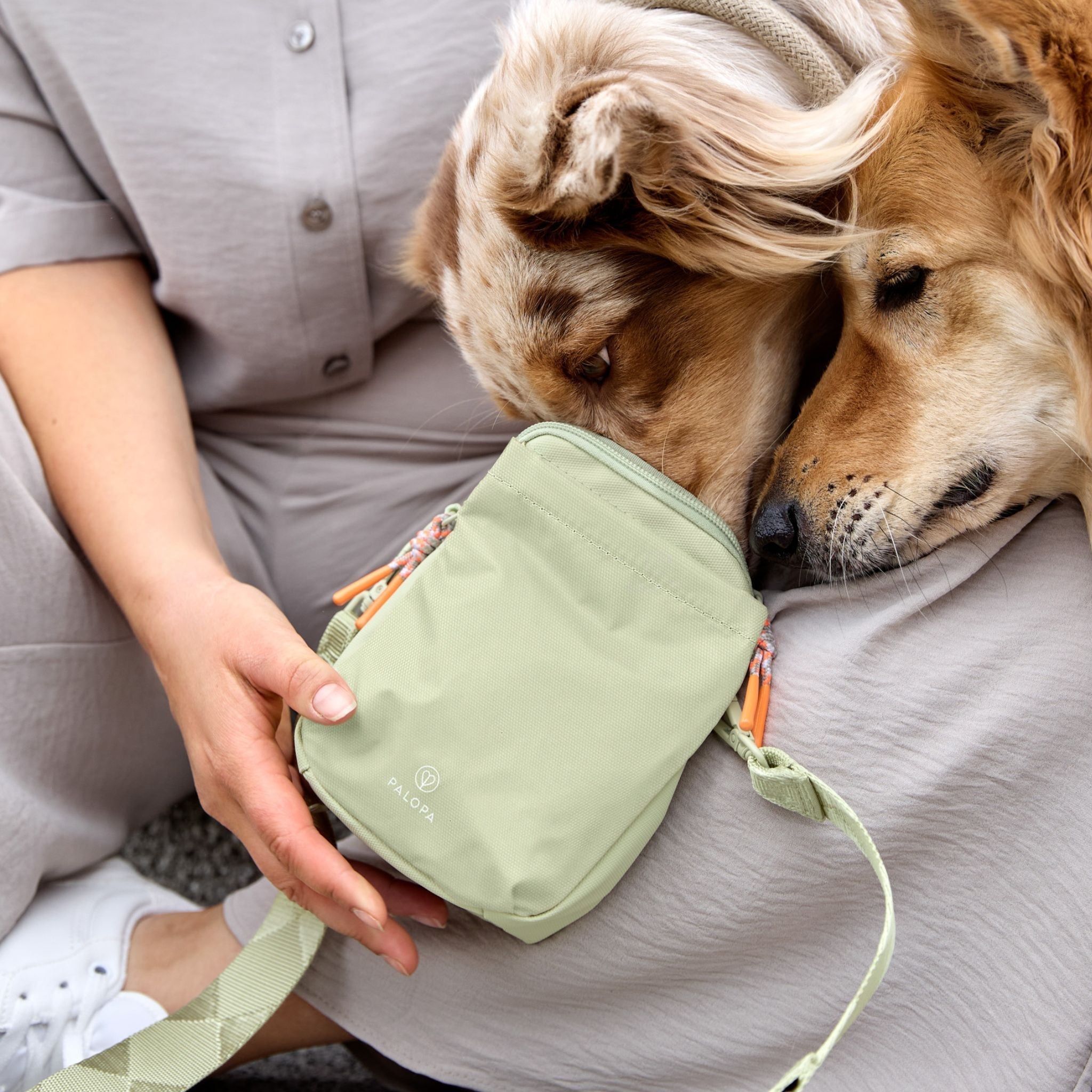 Dog Snack Bag Greta