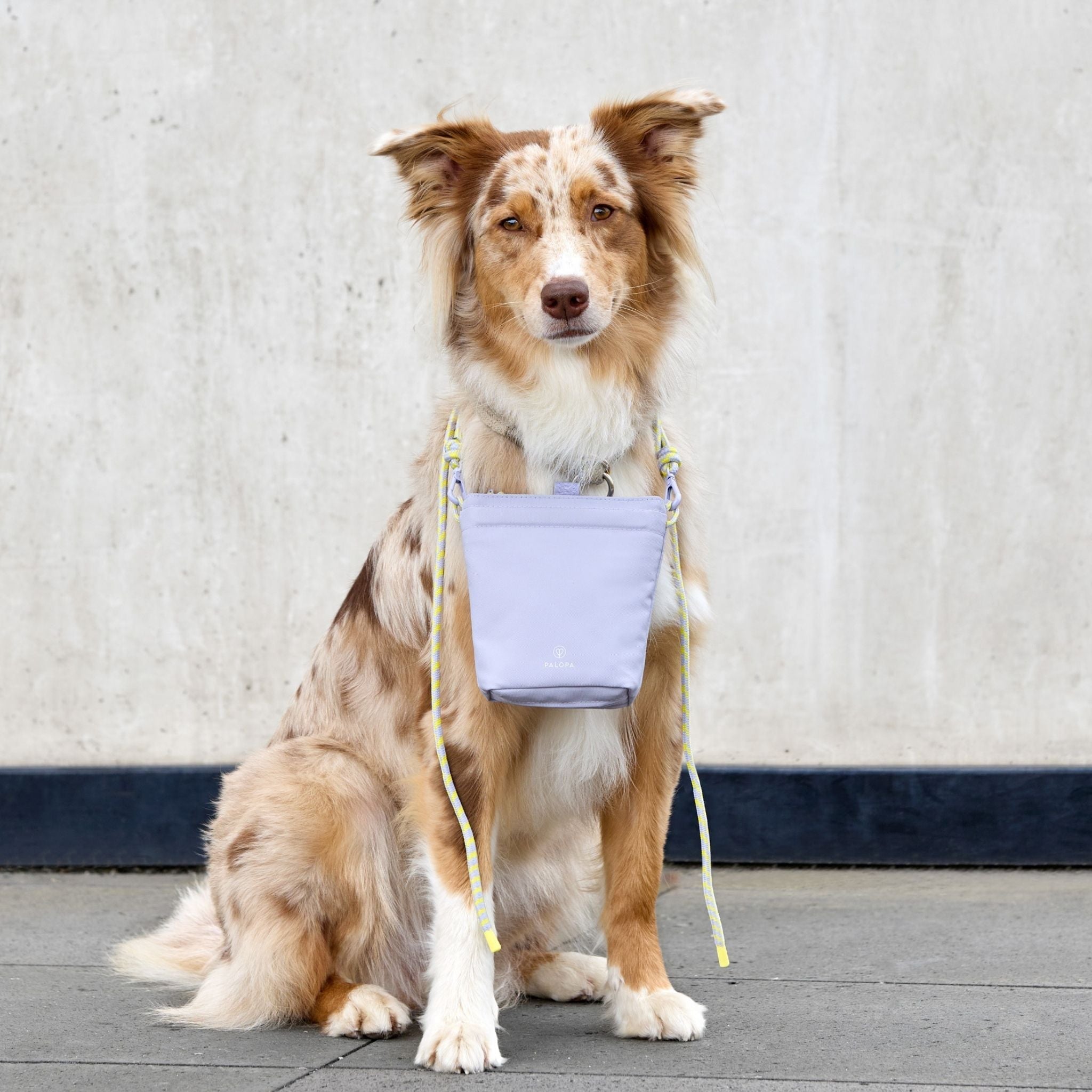 Dog Snack Bag Karl