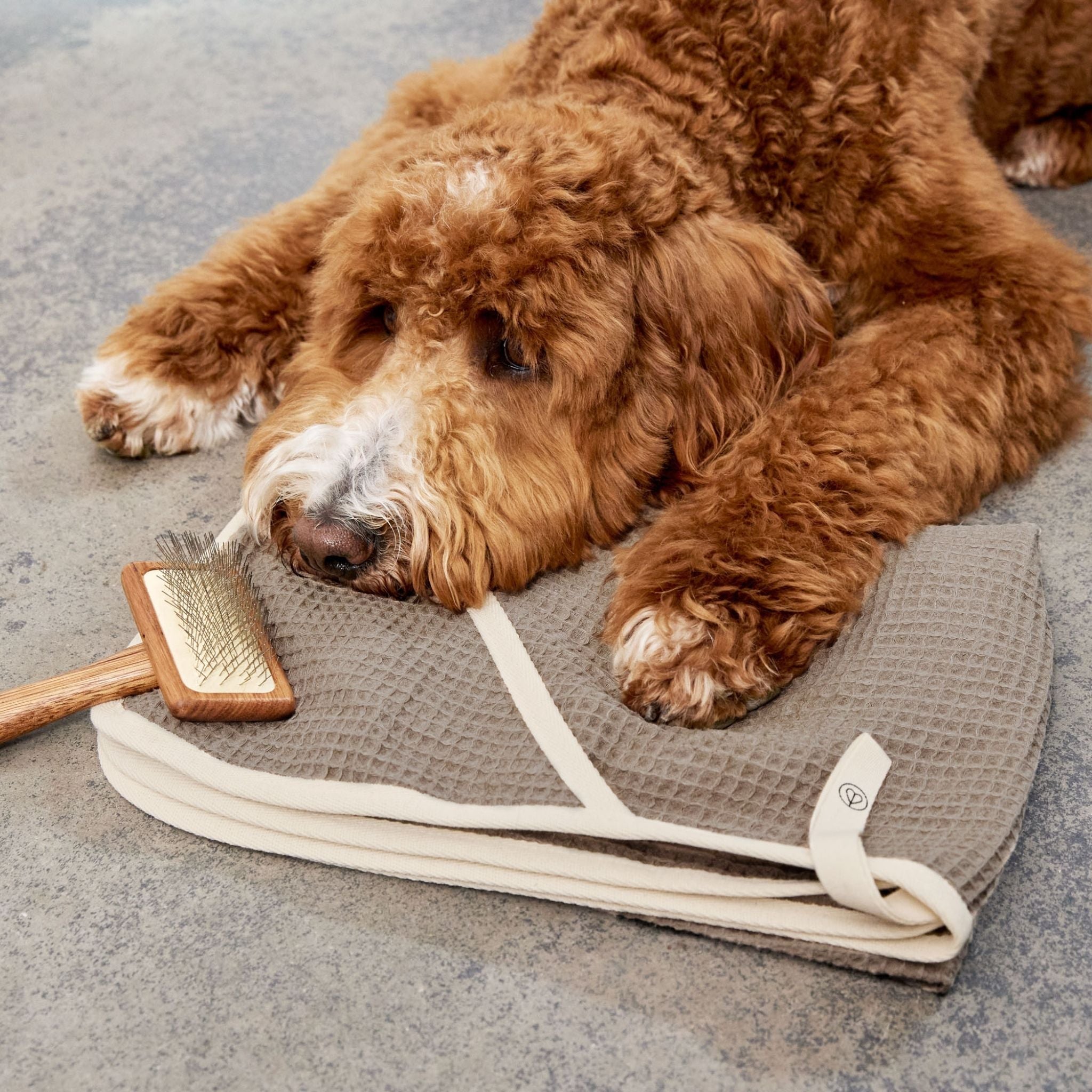 Dog Towel Nobs